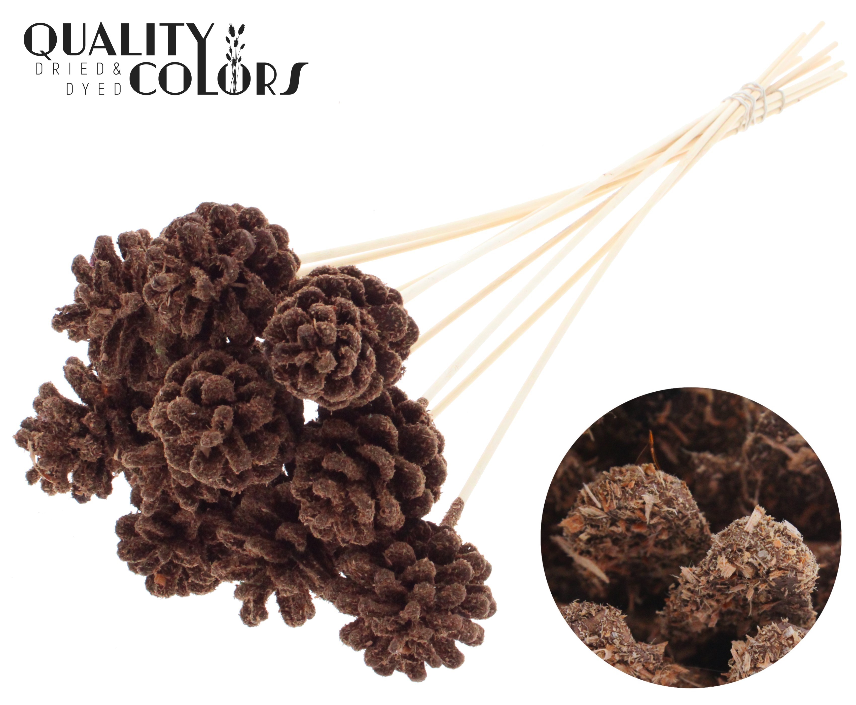 Pine Cone Sawdust Brown 50cm