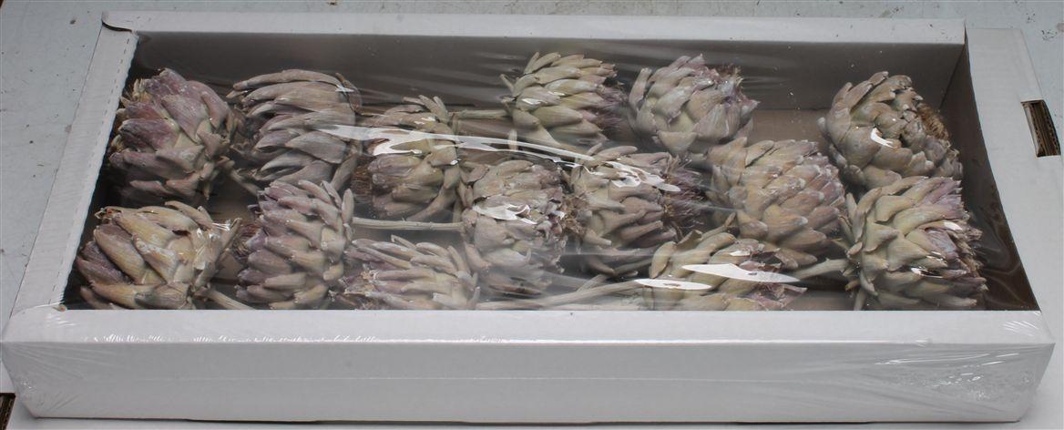 Artichoke White Washed ( X 14 St )