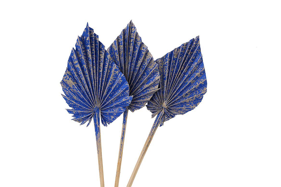 Dried Artz Palm Spear 10pc Matisse Bunch