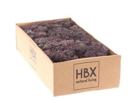 Moss Reindeer Moss 500gr Lavender