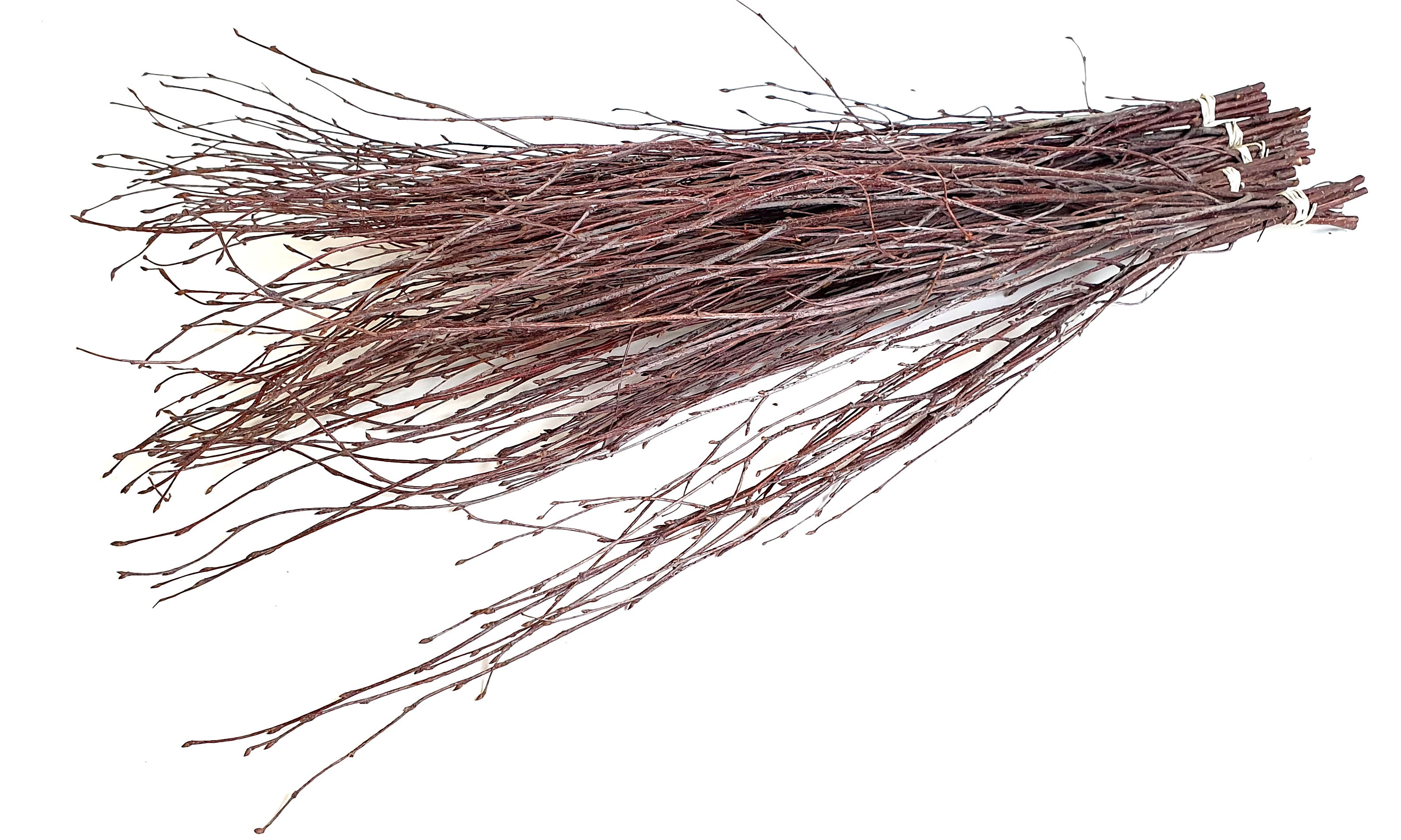 Betula Per Bunch