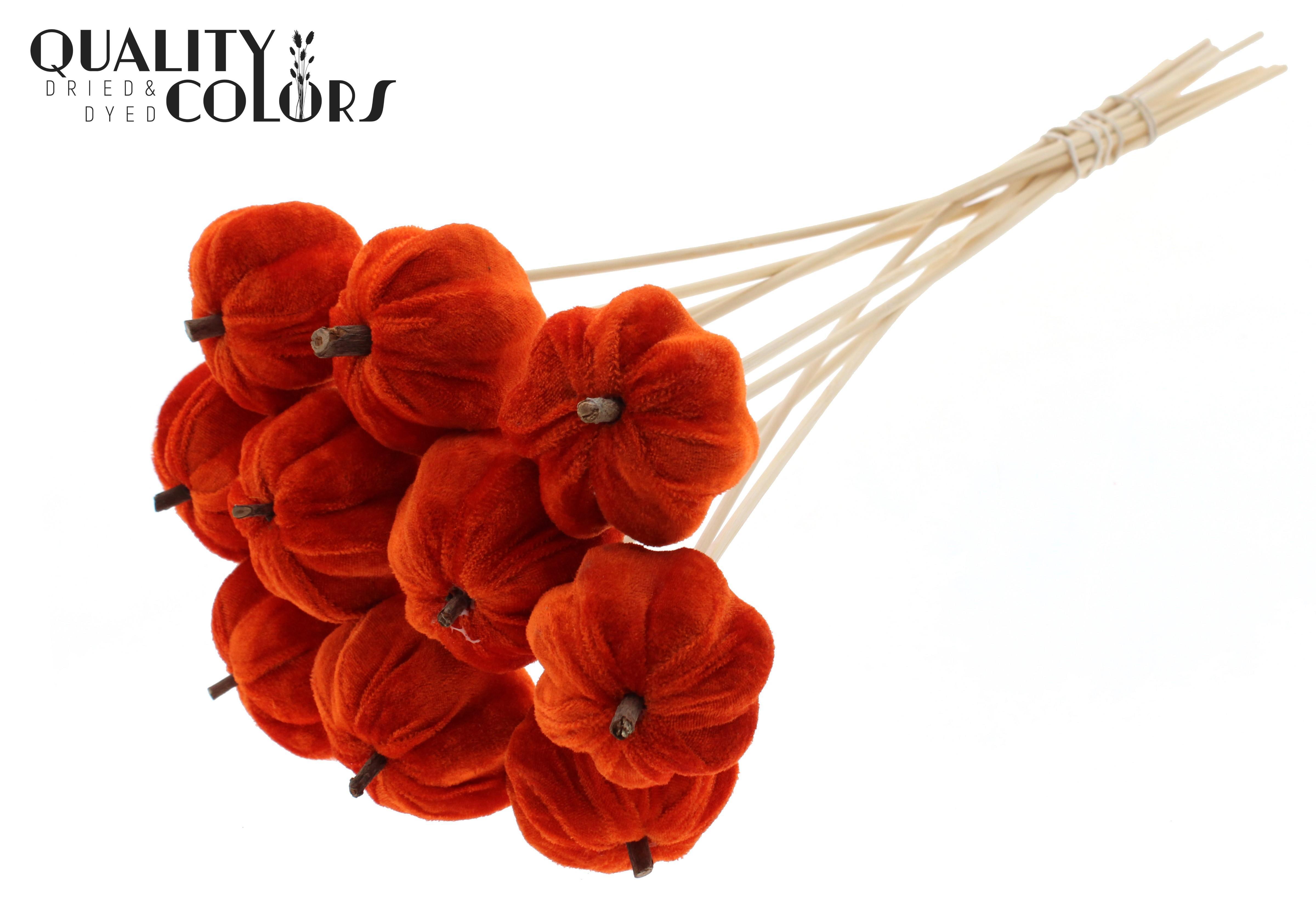 Velvet Pumpkin Orange 50cm