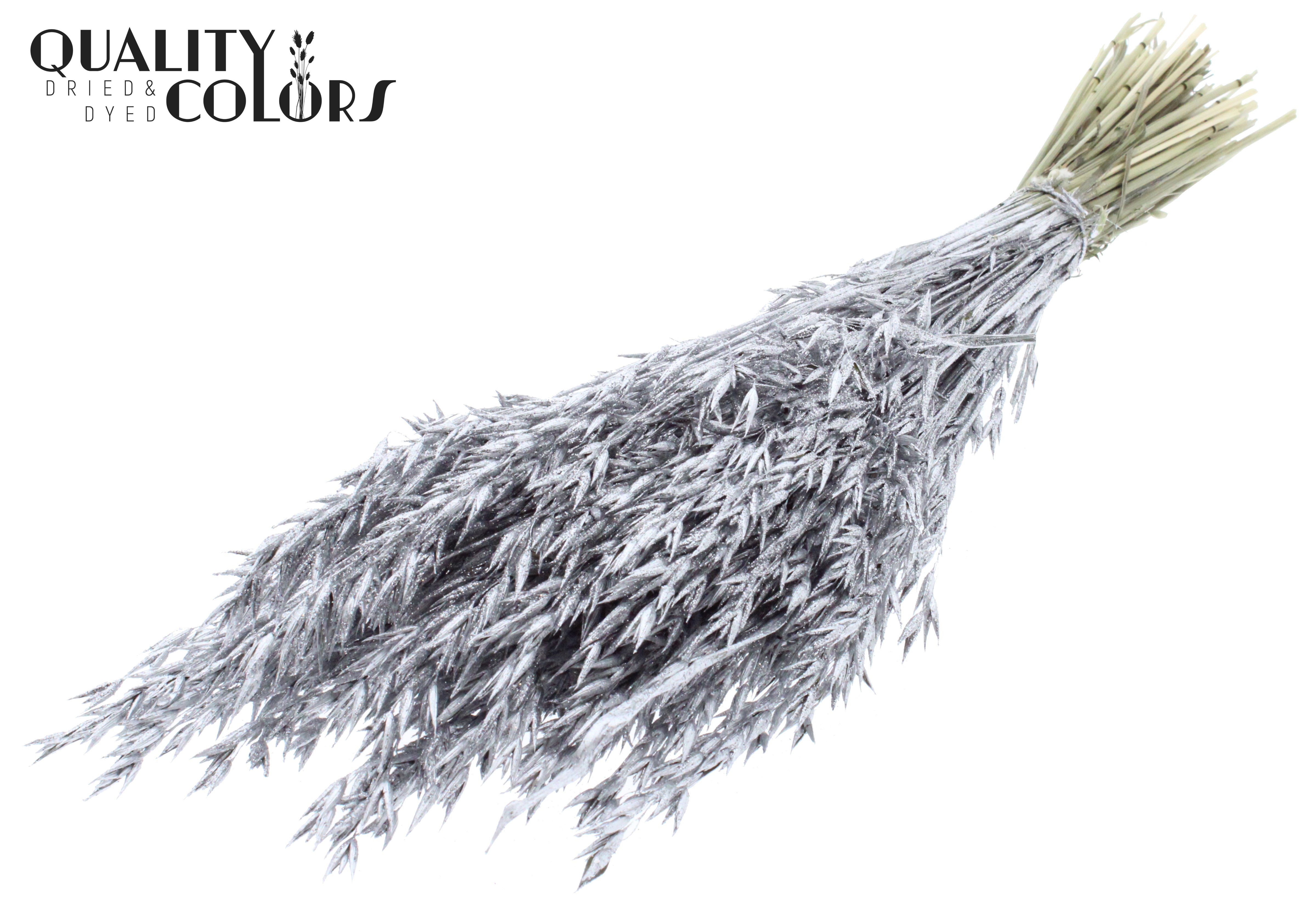 Avena Silver + Glitter Per Bunch 60cm