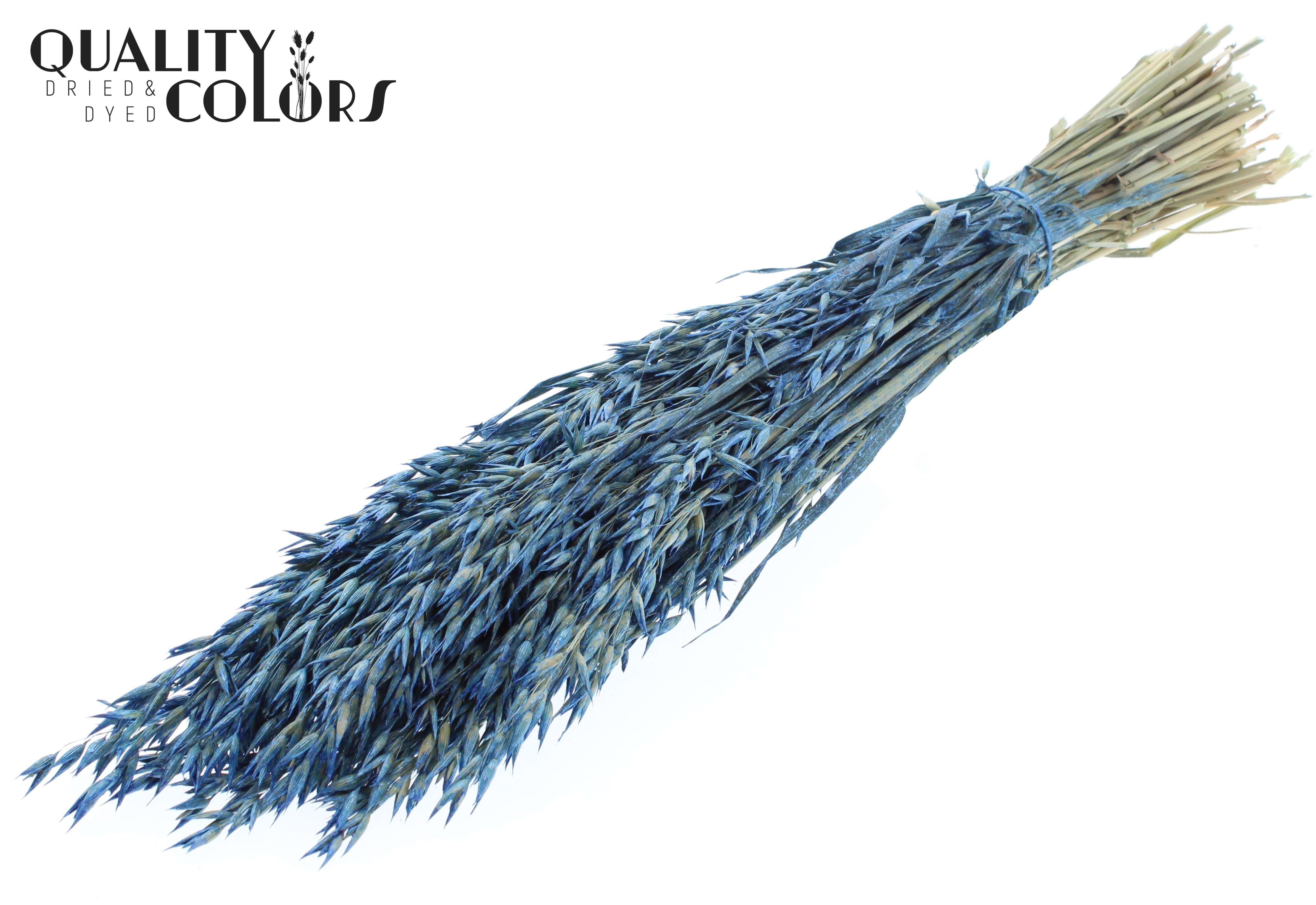 Avena Pearl Blue Per Bunch 60cm