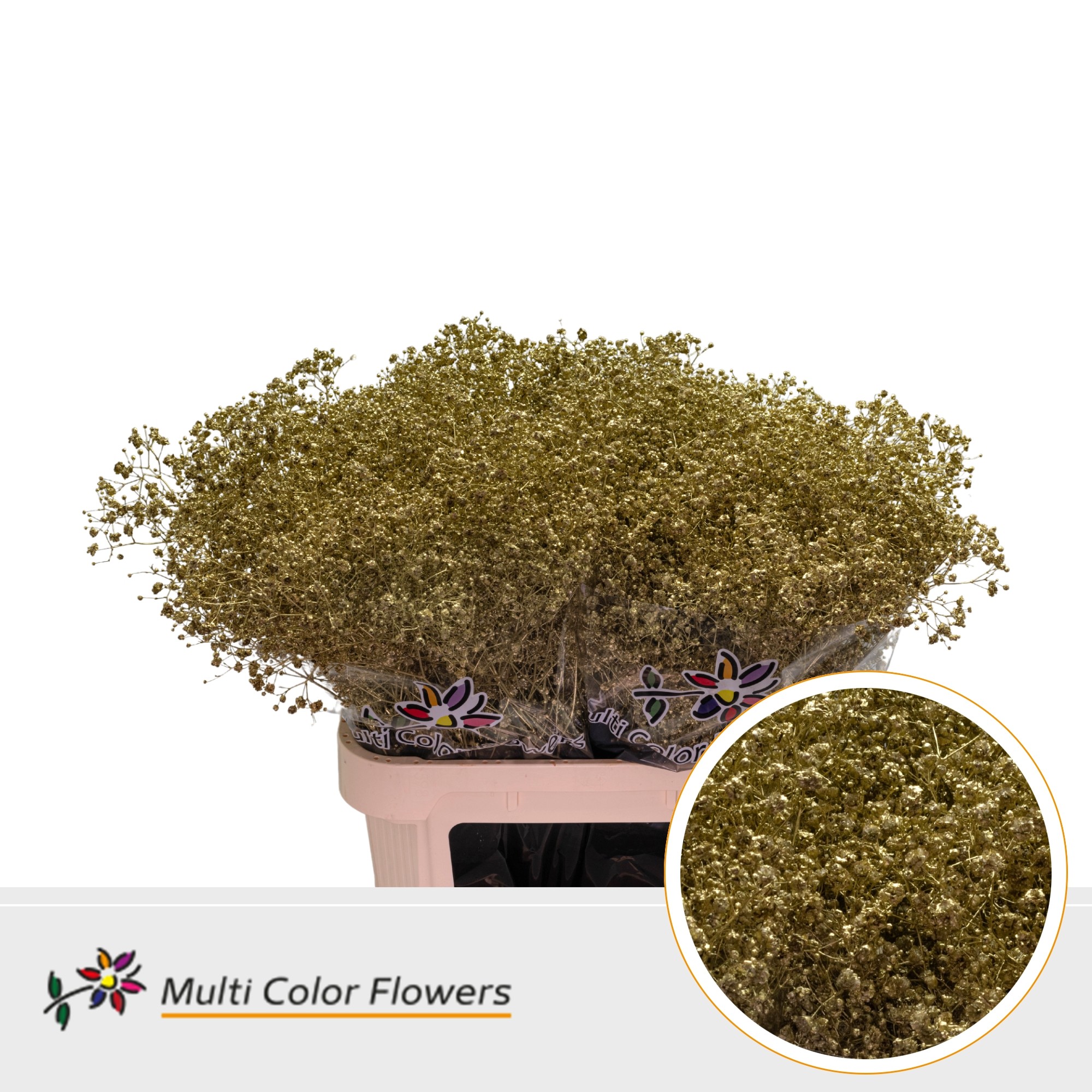 Gypsophila Painted Xlence Gold 80cm