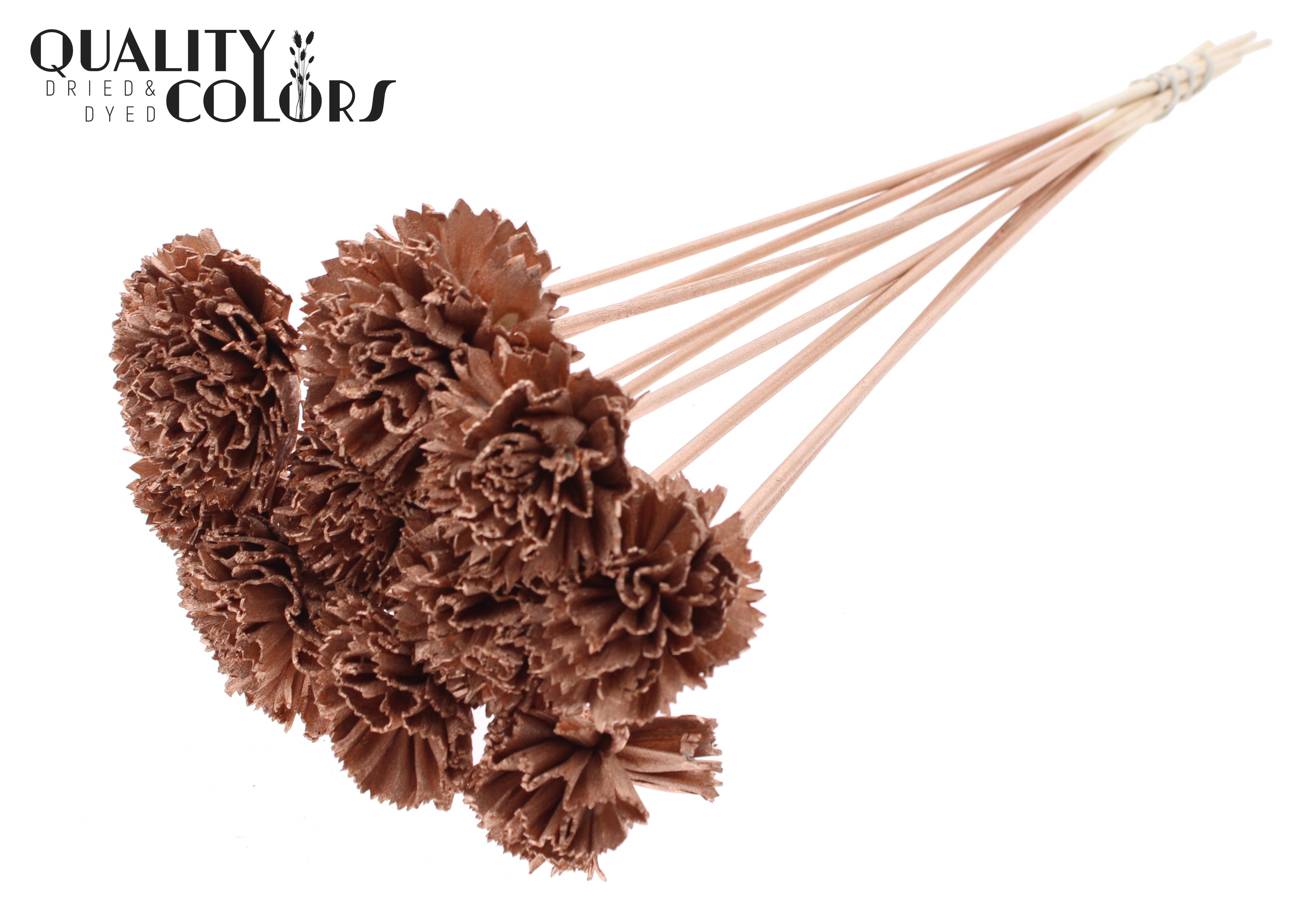 Shola Karnish Flower Copper 50cm