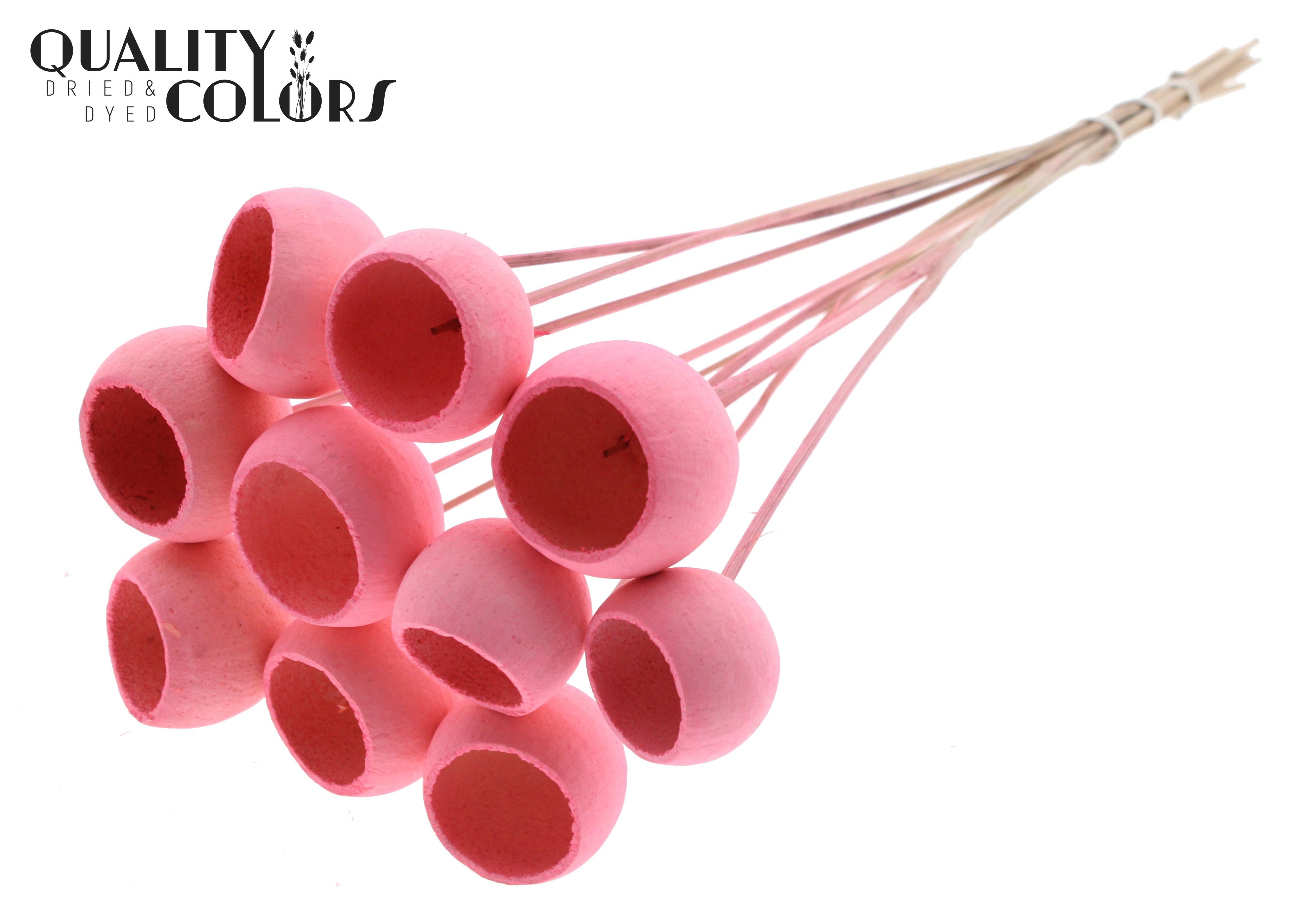 Bell Cup Intense Light Pink 50cm