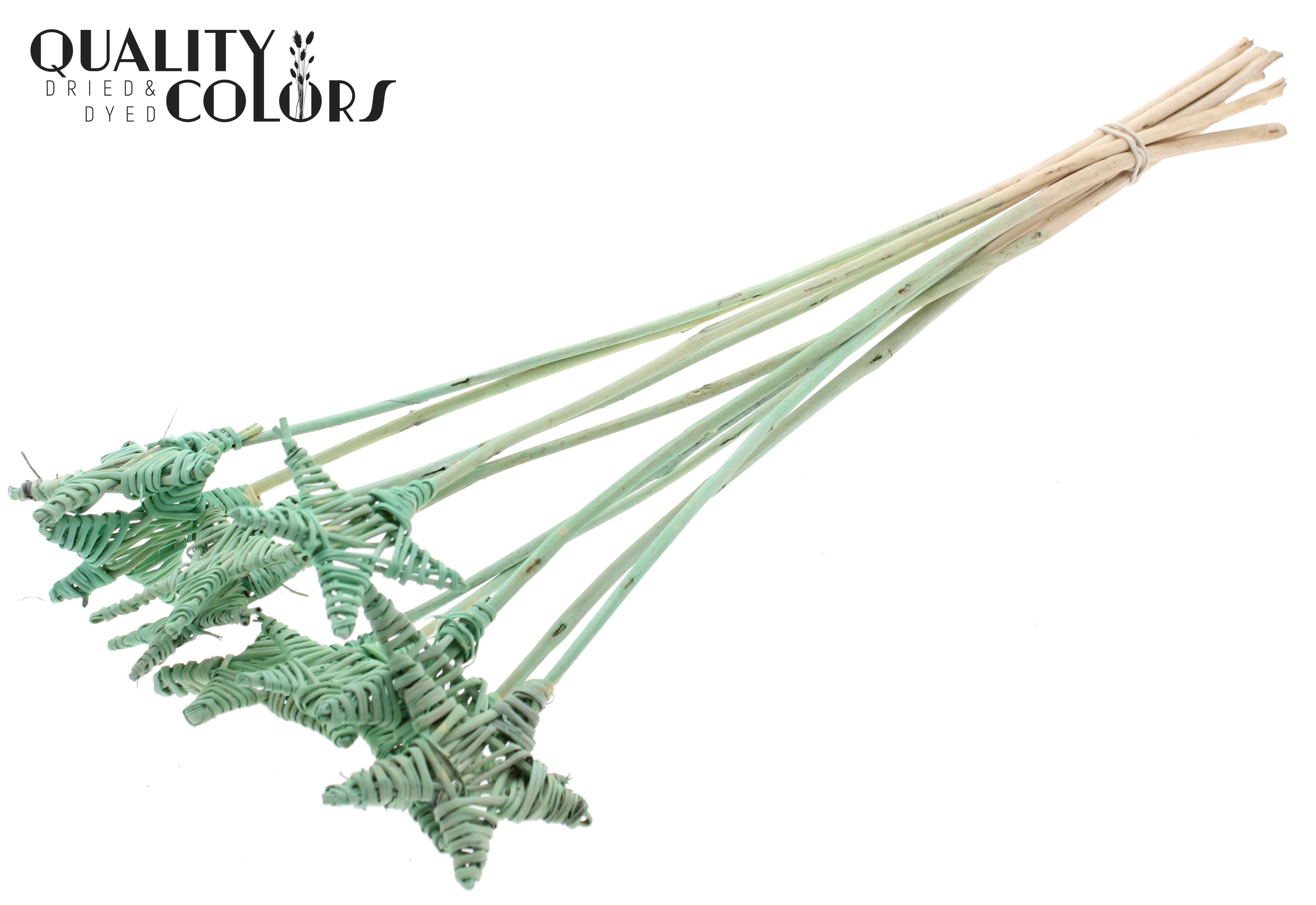 Lata Star Frosted Mint 50cm