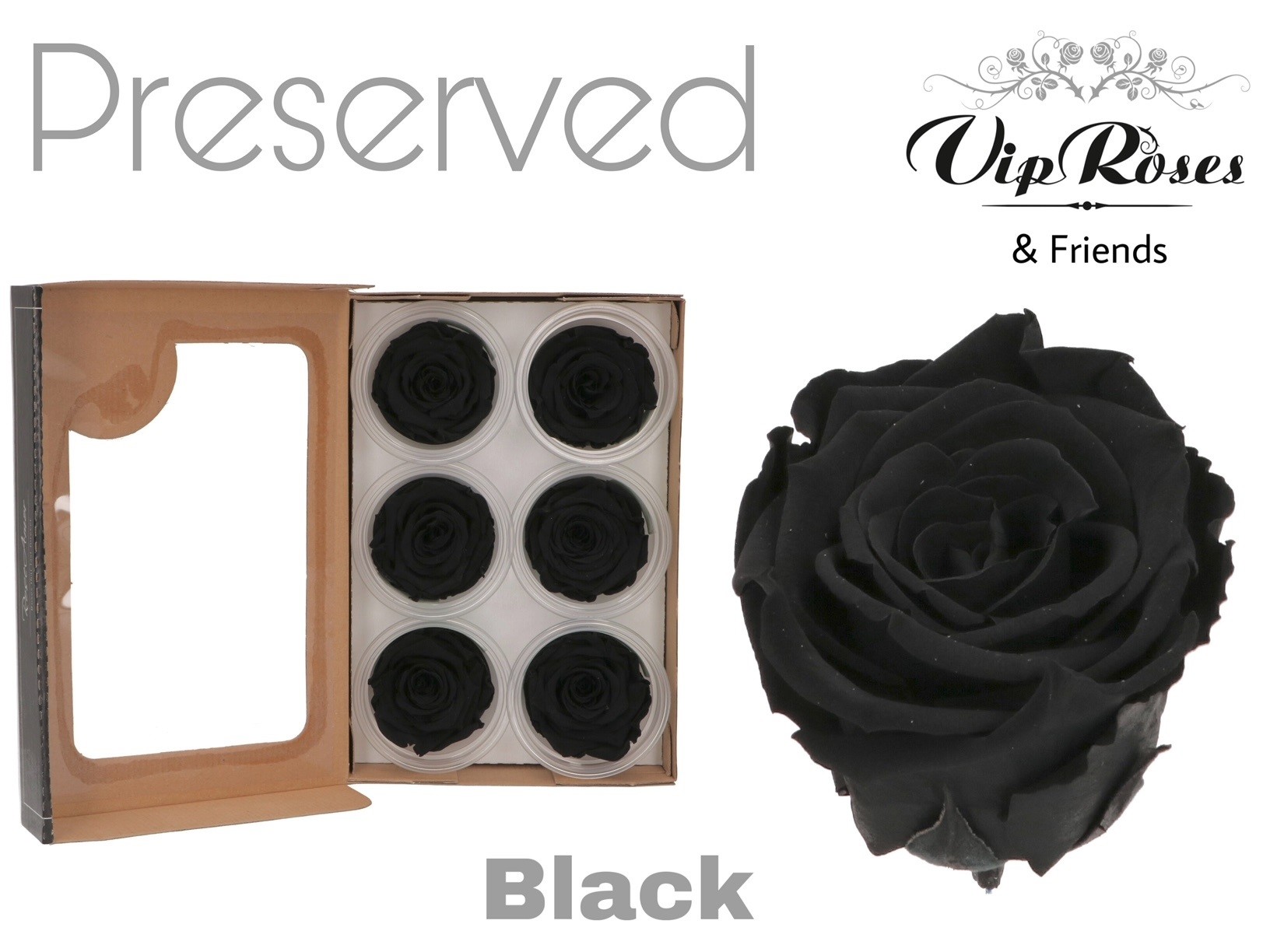 R Preserved Black 5 cm