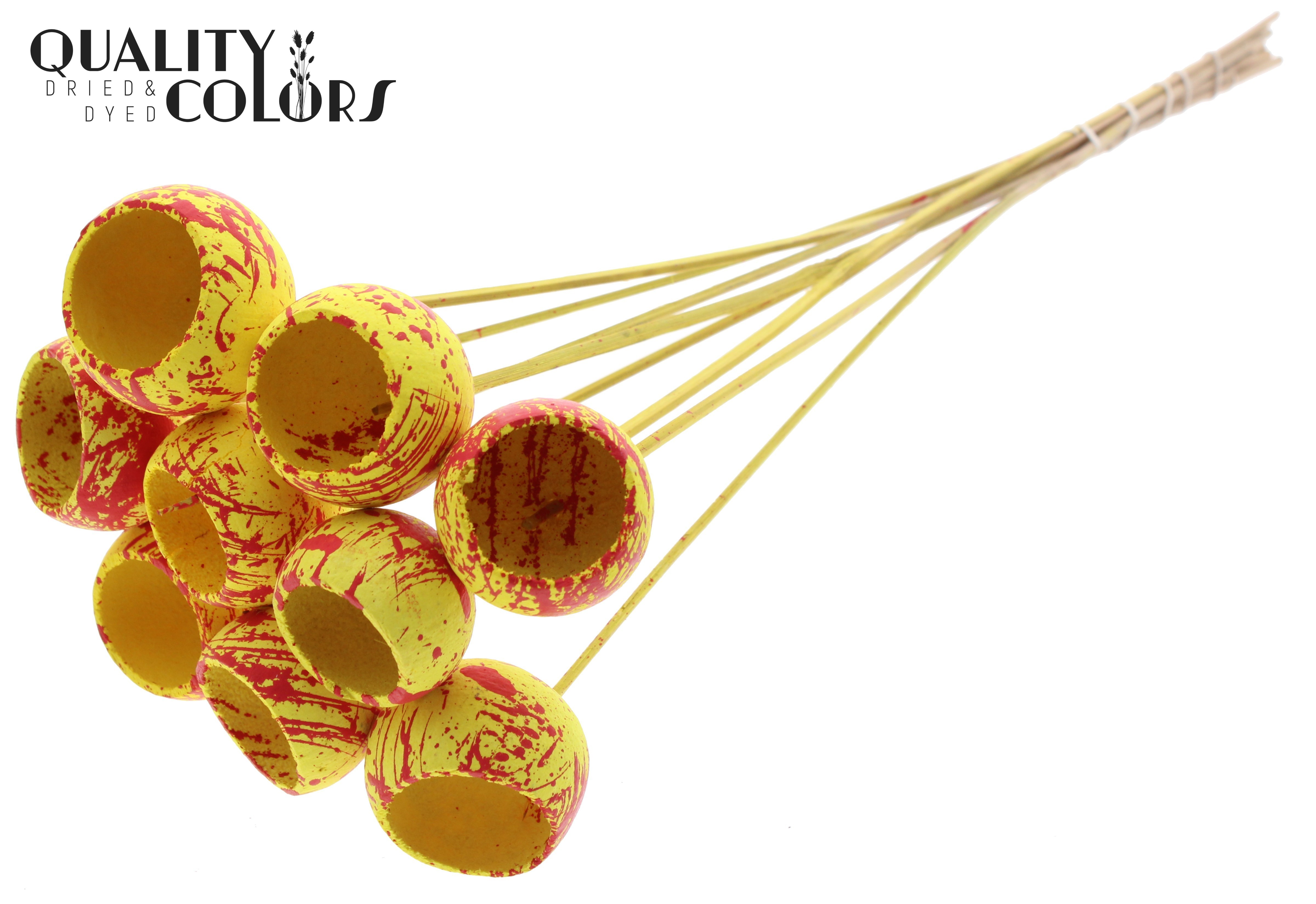 Bell Cup Splashed Yellow Red 50cm