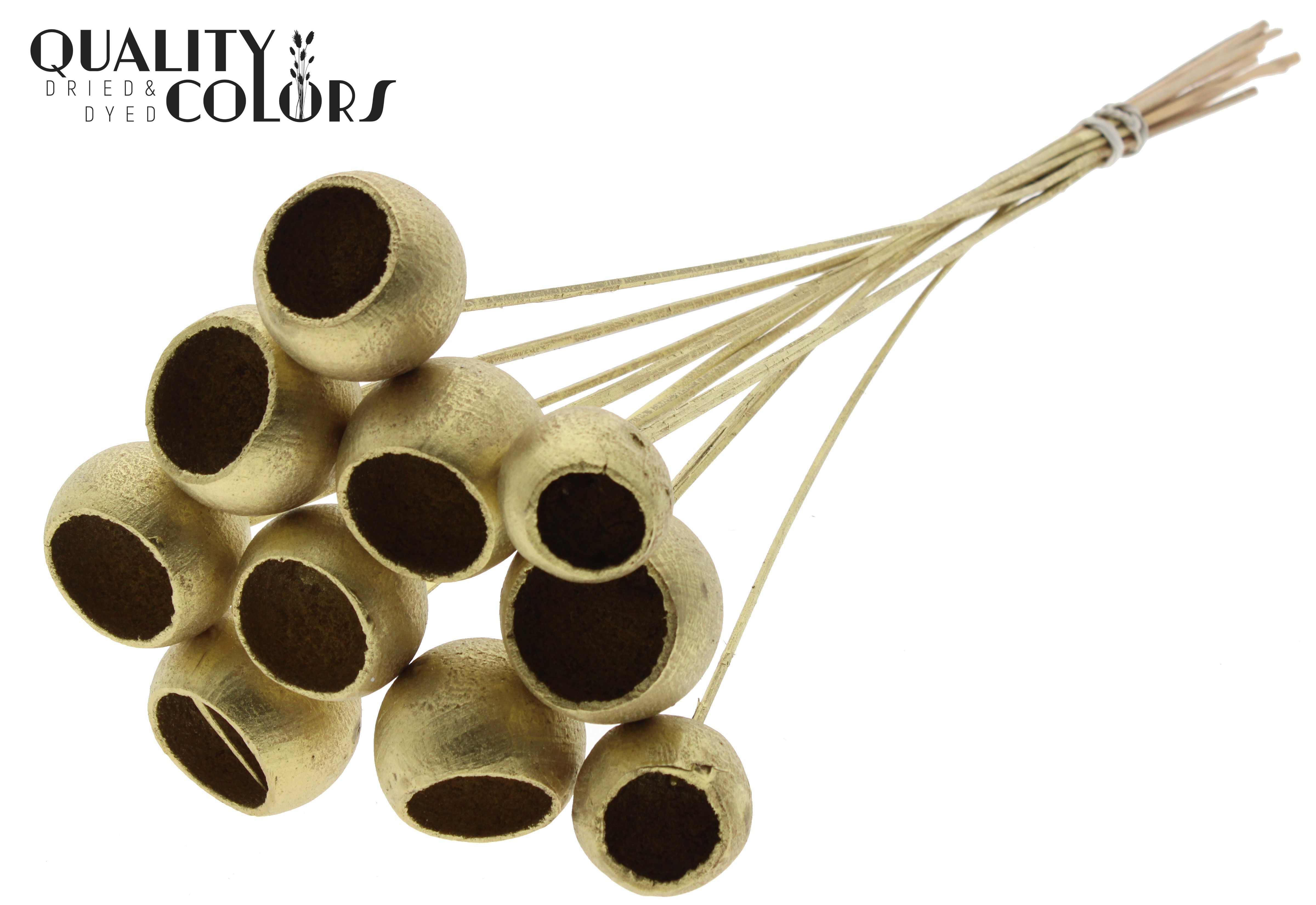 Bell Cup Gold 50cm