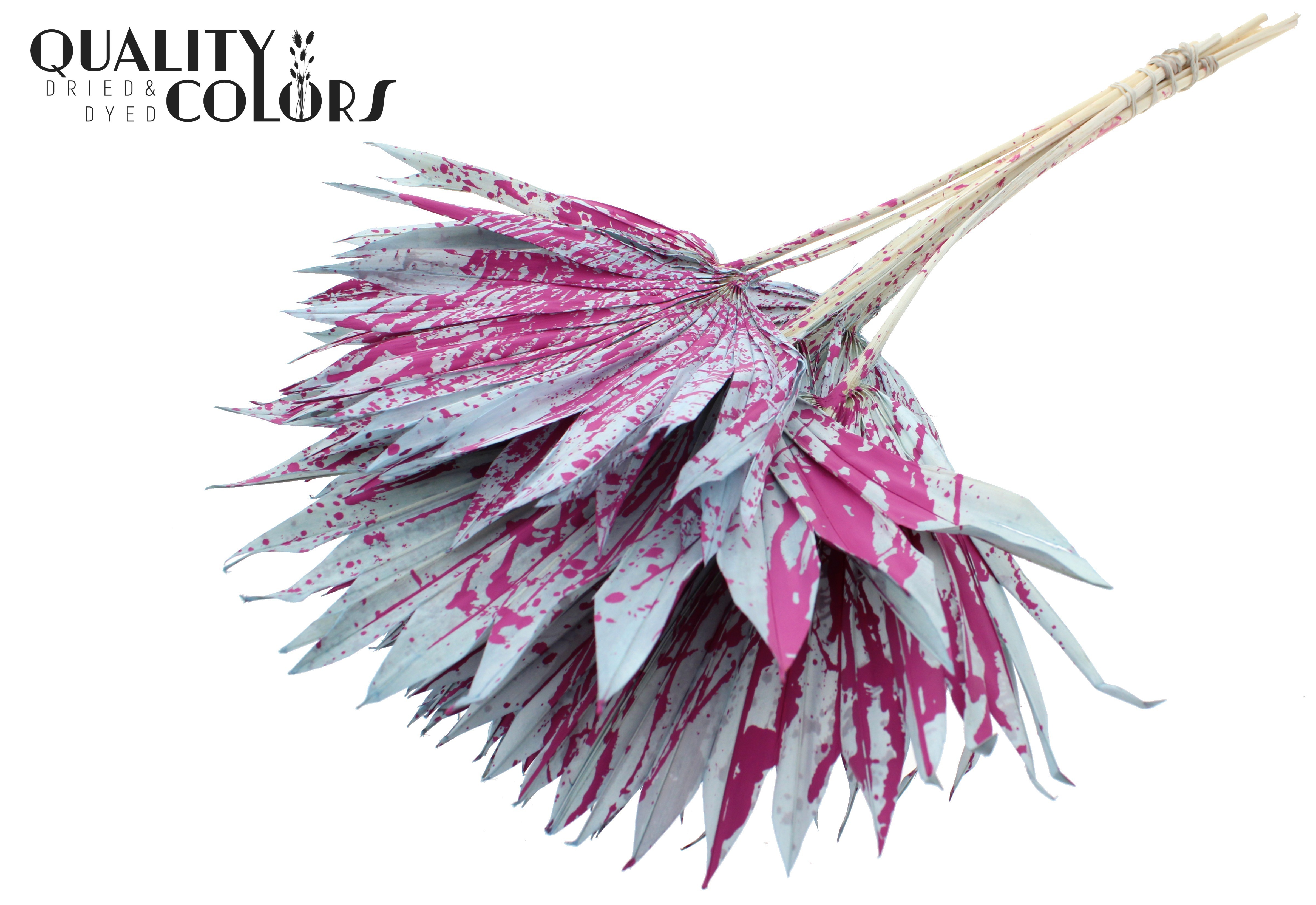 Palm Sun Splashed Light Blue Cerise 50cm
