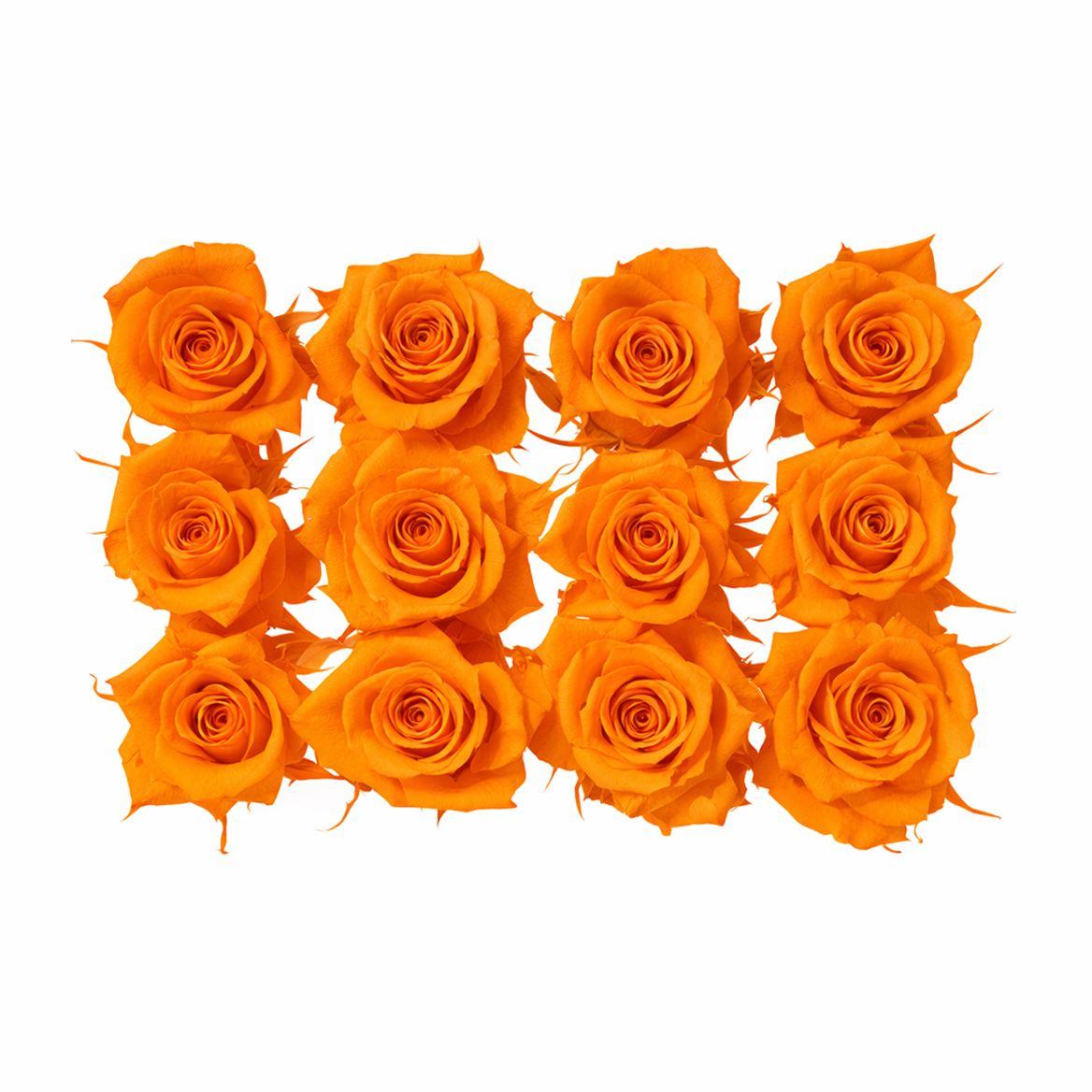 Ro Pres Mini Orange