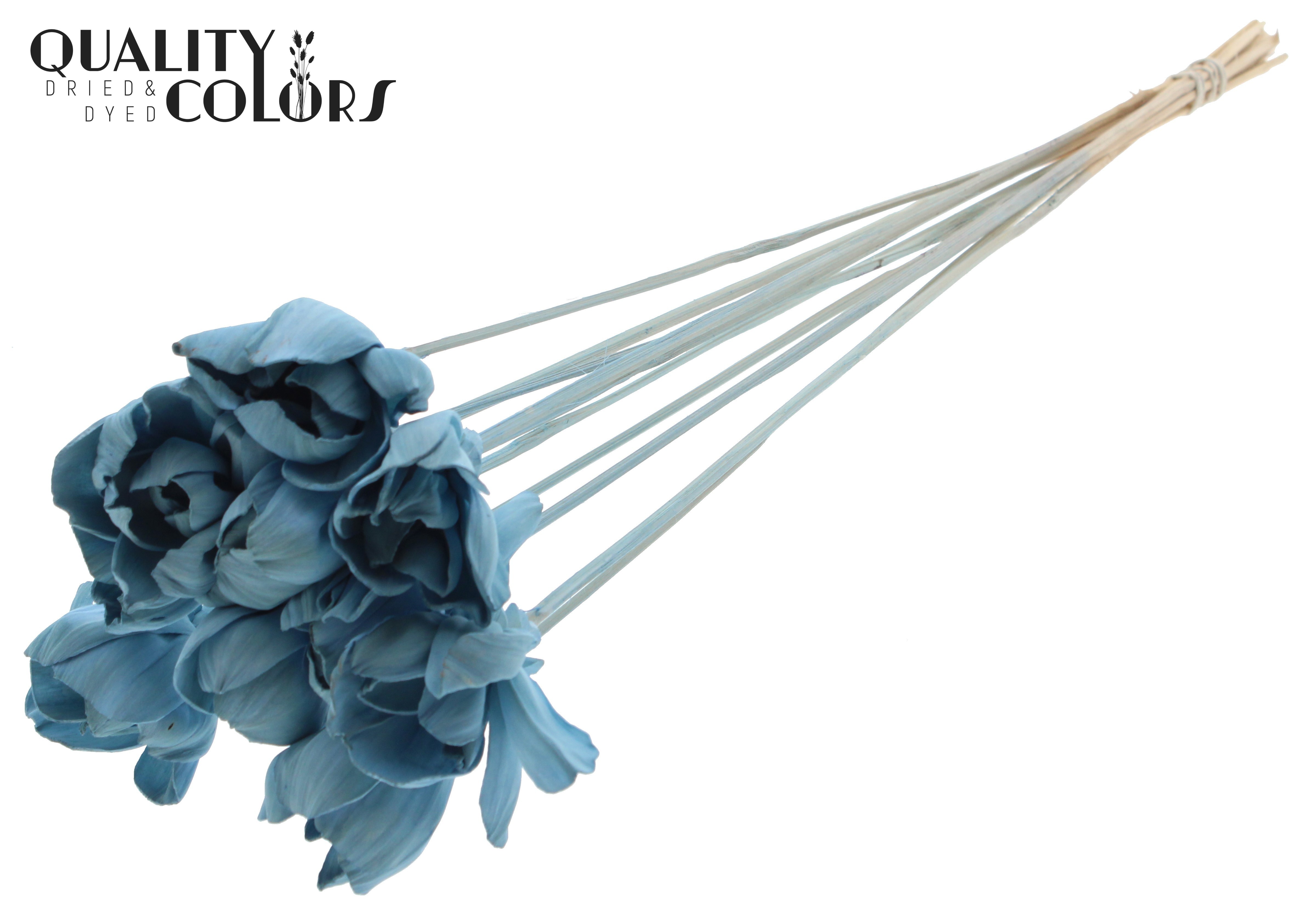 Shola Dear Holly Light Blue 50cm