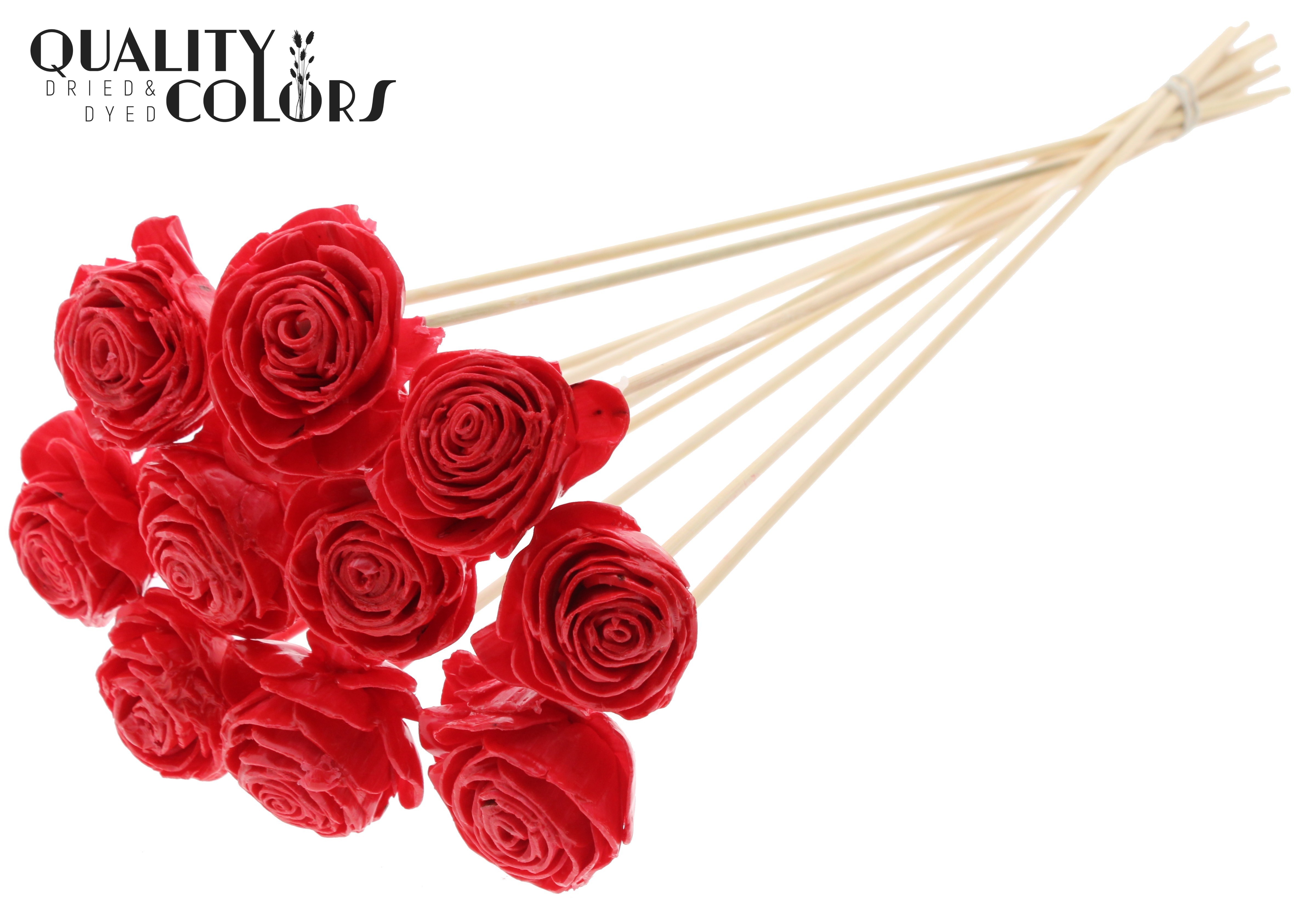 Shola Beauty Rose Wax Red 50cm