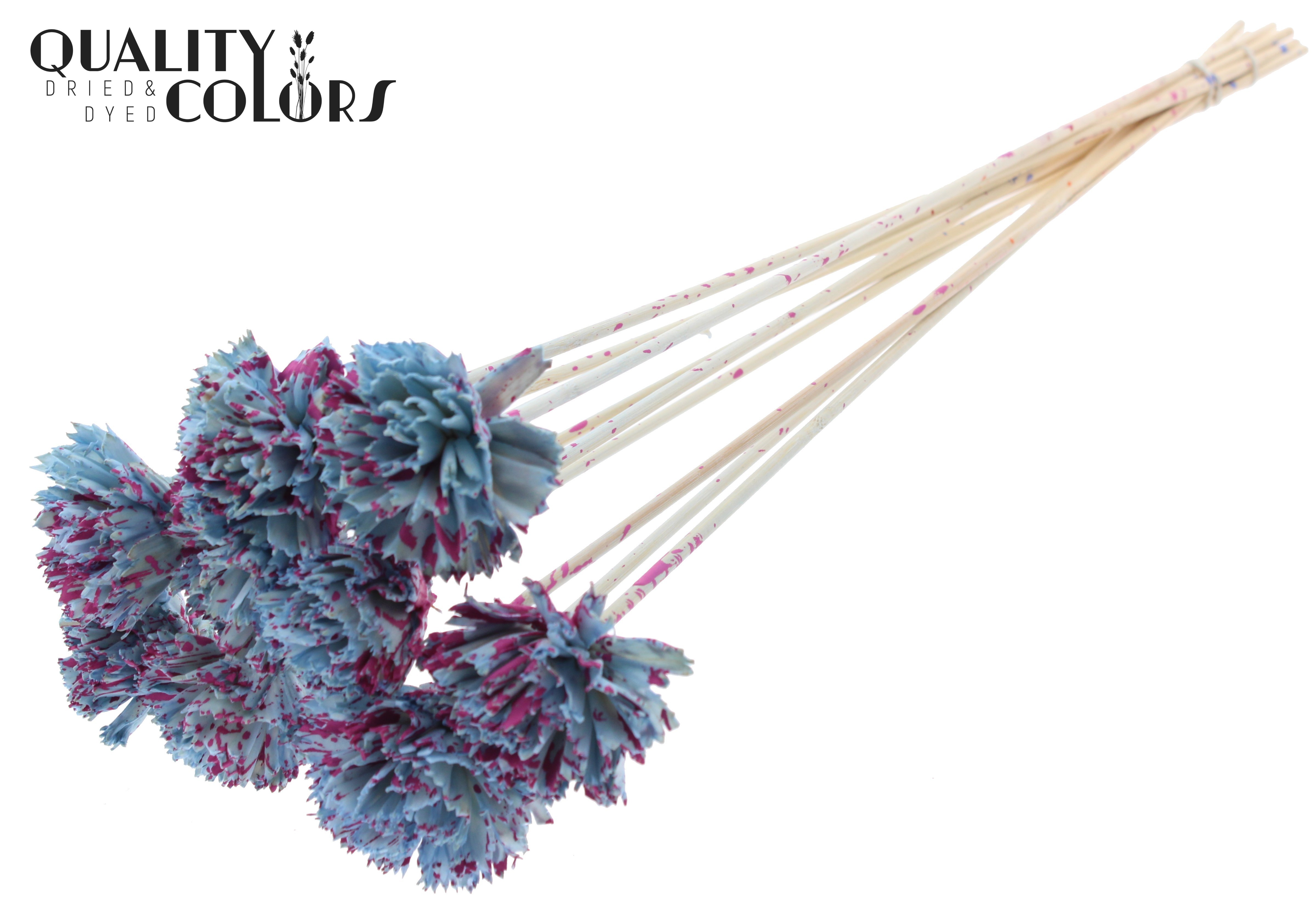 Shola Karnish Flower Splashed Light Blue Cerise 50cm