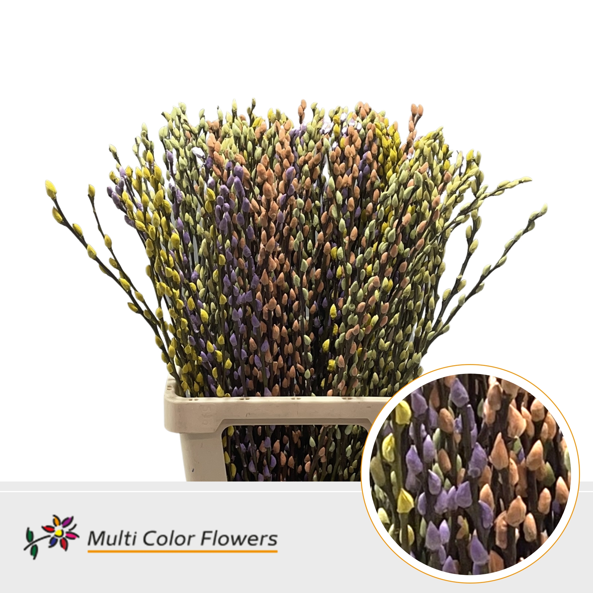 Salix Snow Flake Painted Mix 70cm