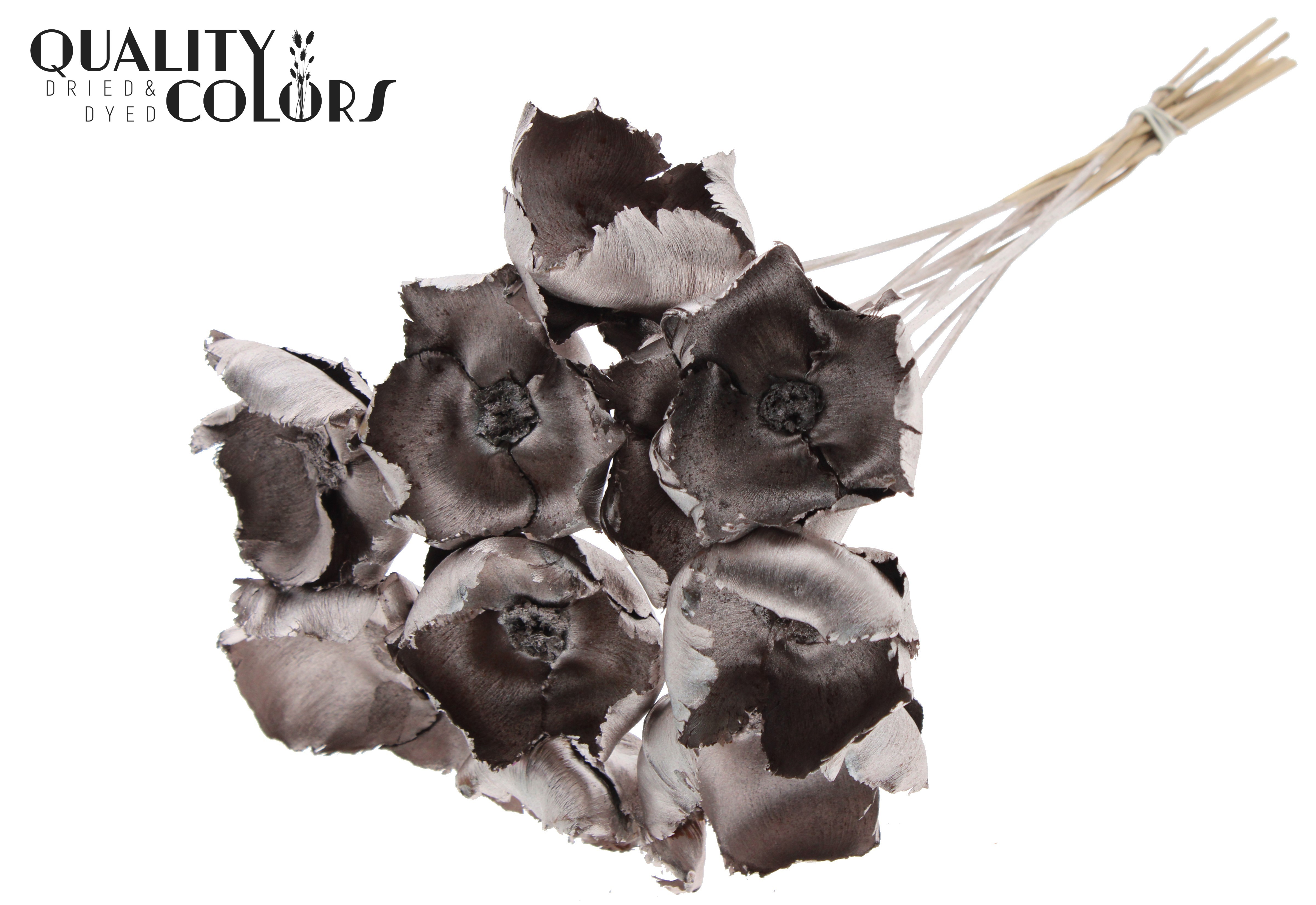 Palm Cup Champagne 50cm