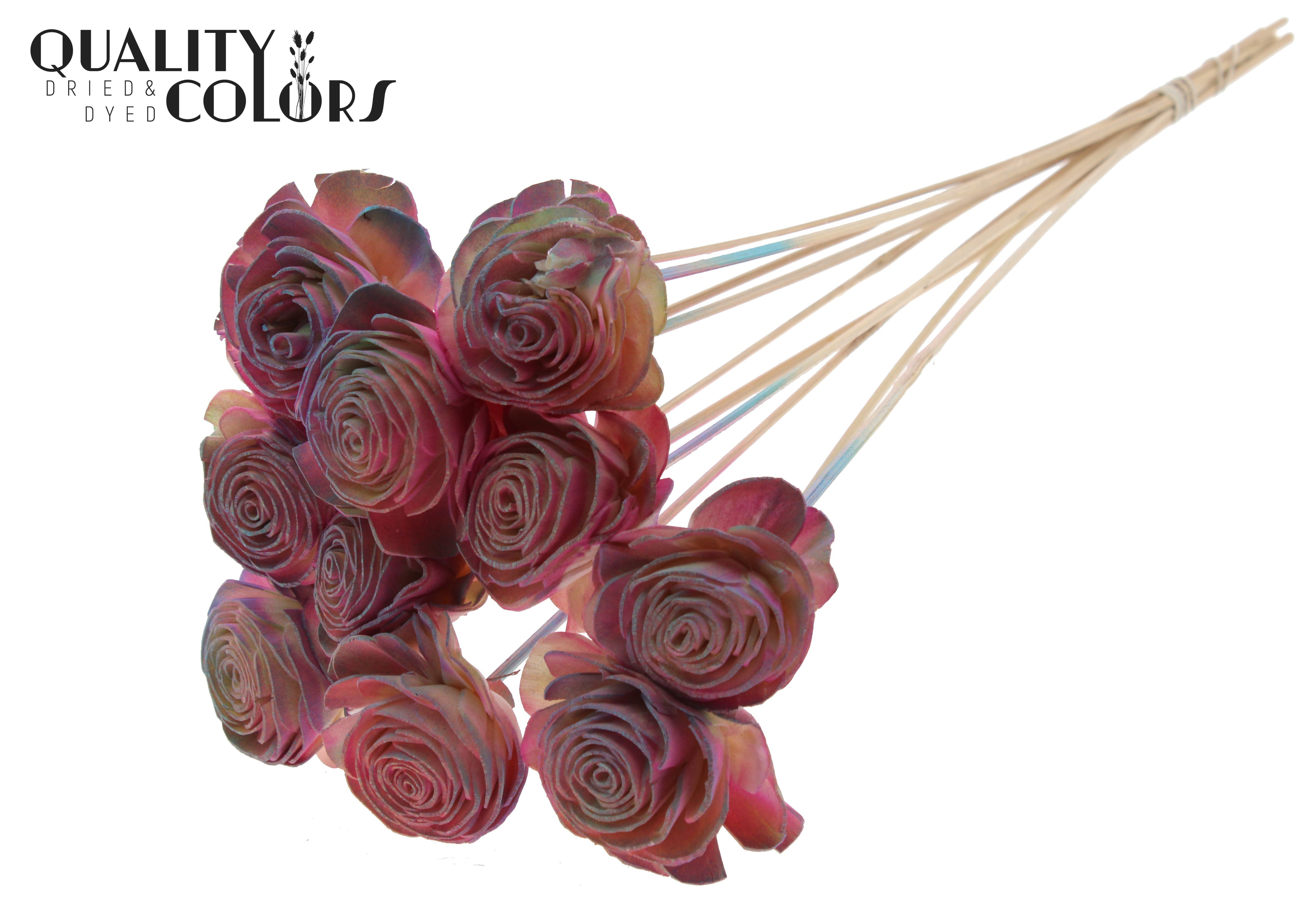Shola Beauty Rose Gradient Pink 50cm