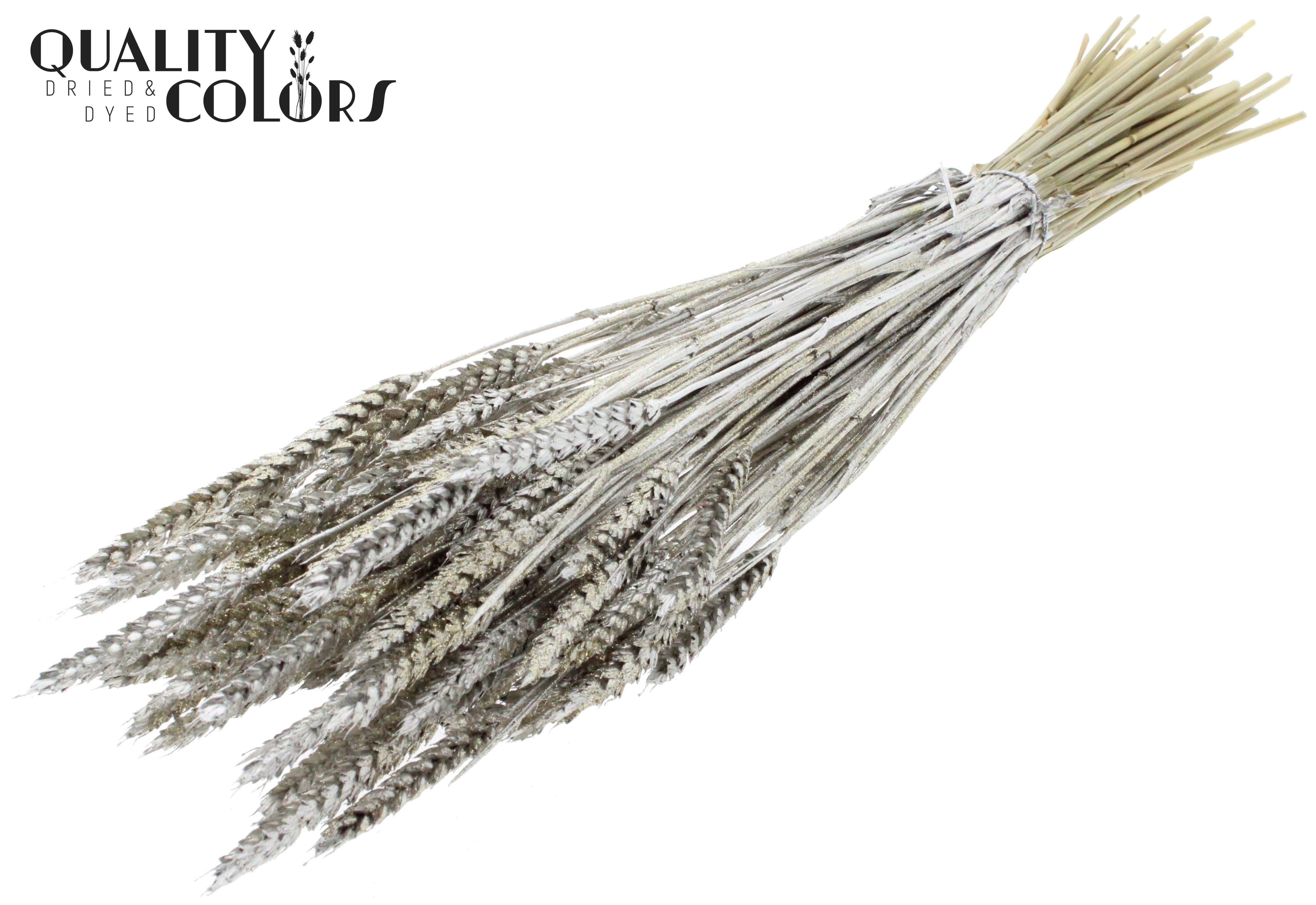 Triticum Platinum + Glitter Per Bunch 60cm