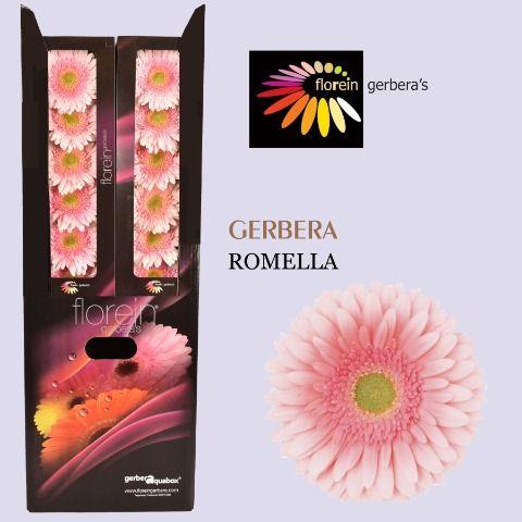 Ge Gr Romella Aquabox 80