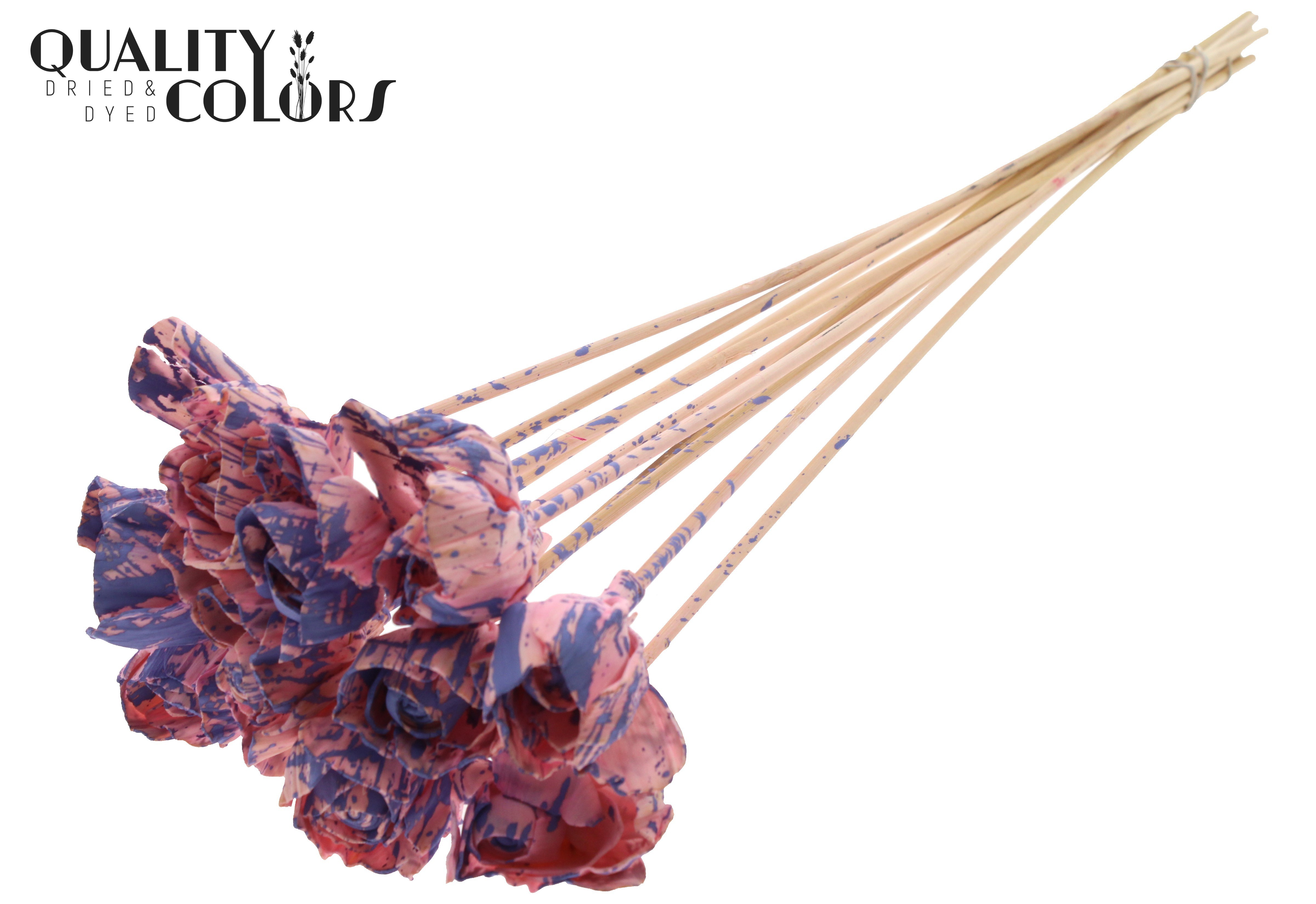 Shola Dear Holly Splashed Pink Milka 50cm