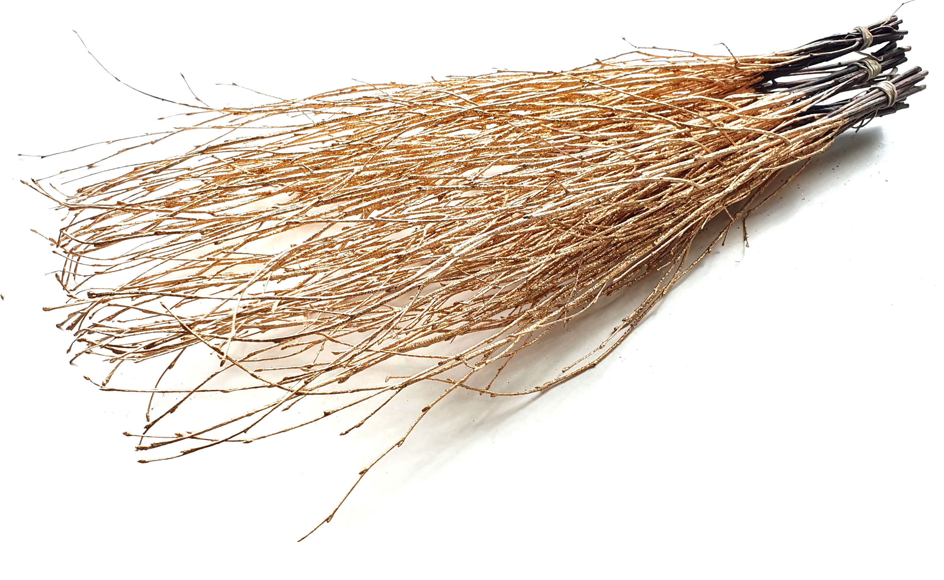 Betula Antique Gold Per Bunch