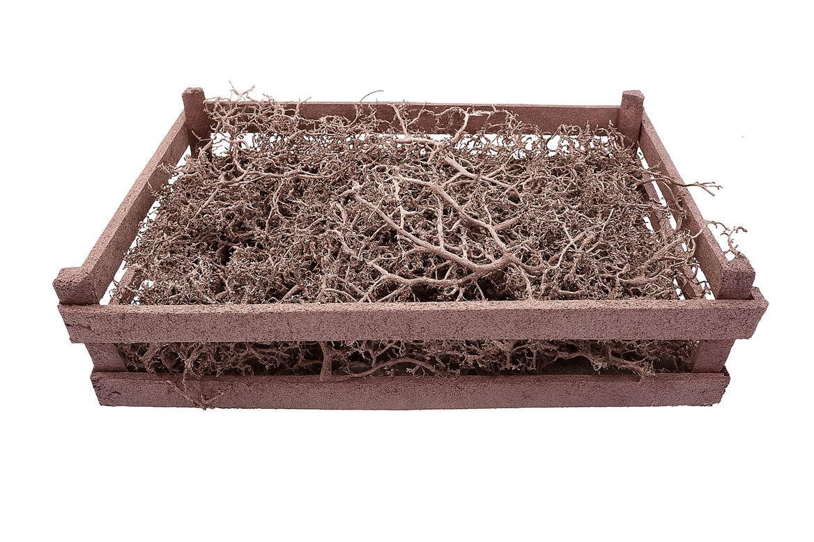 Bonsai Wood Metallic Pink P Crate