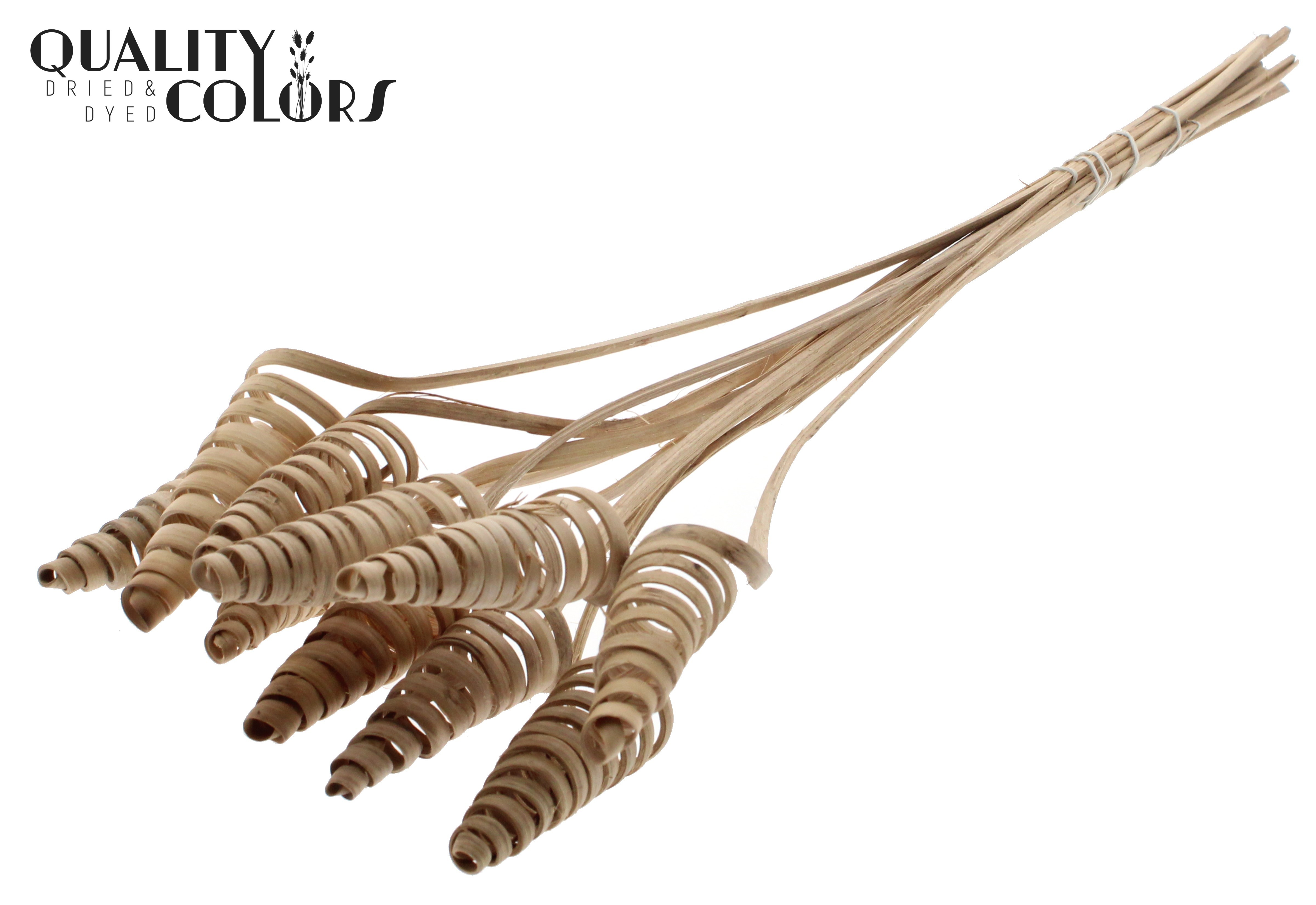 Cane Cone Natural 50cm