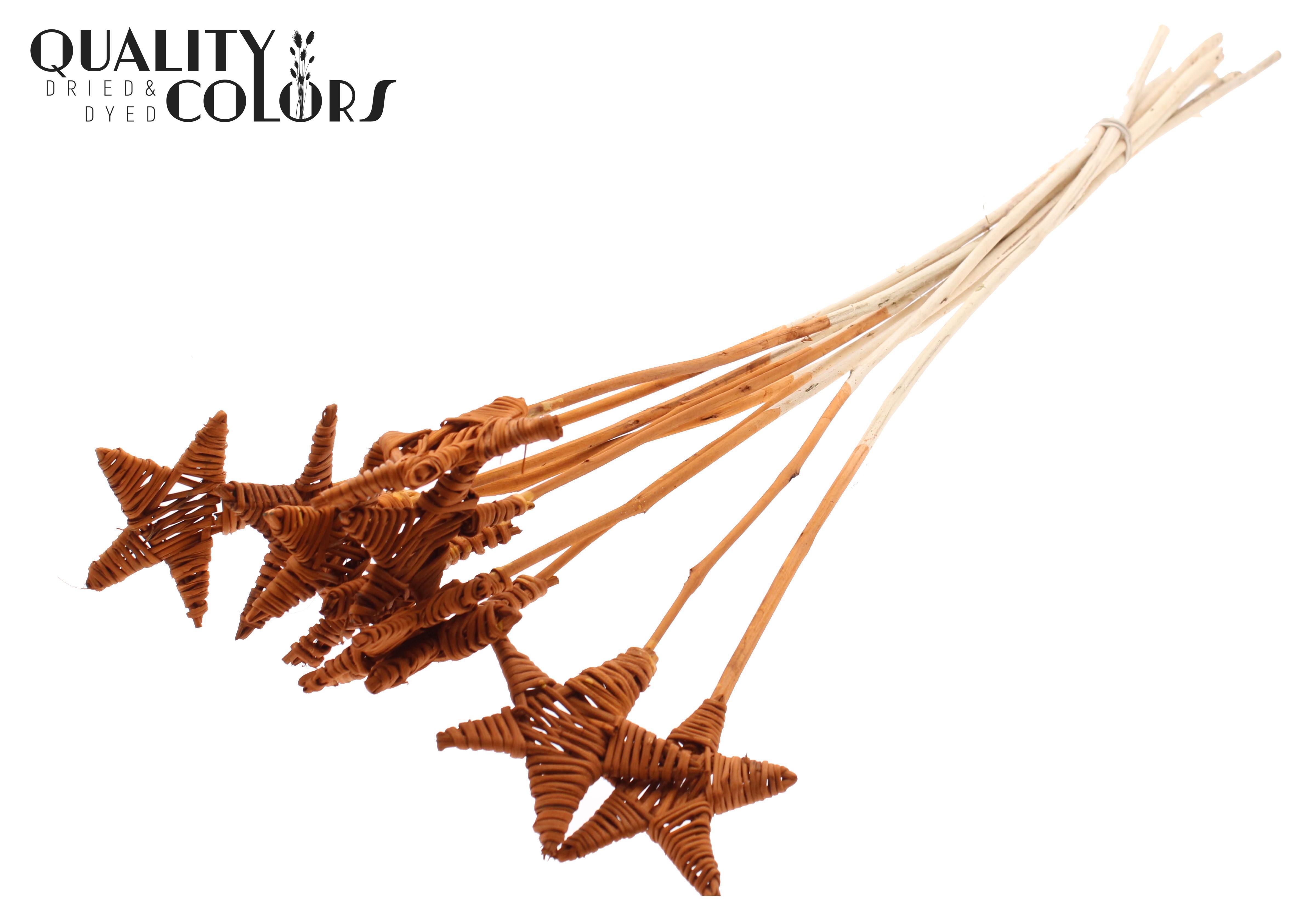 Lata Star Terracotta 50cm