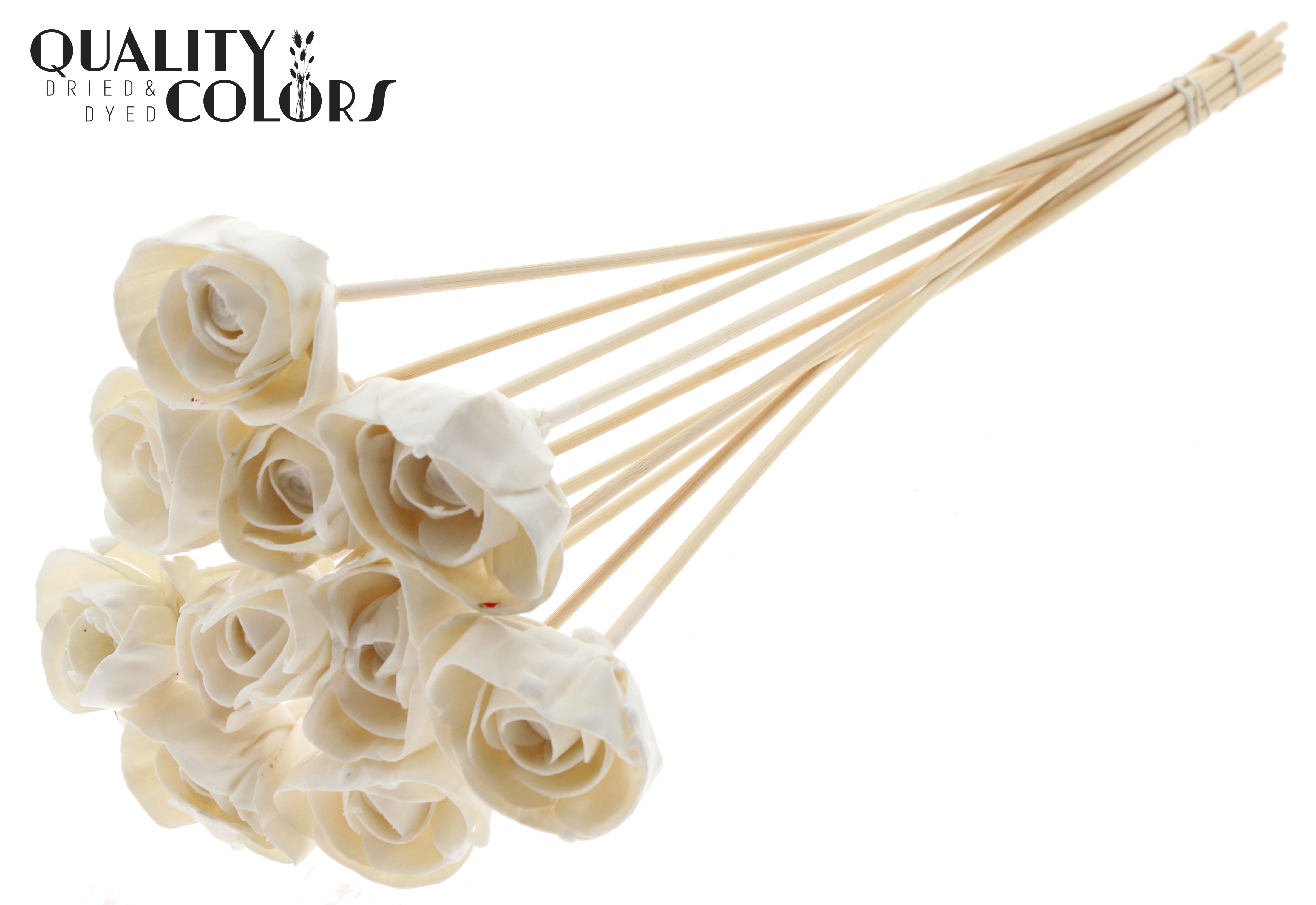 Shola Dear Holly Wax White 50cm