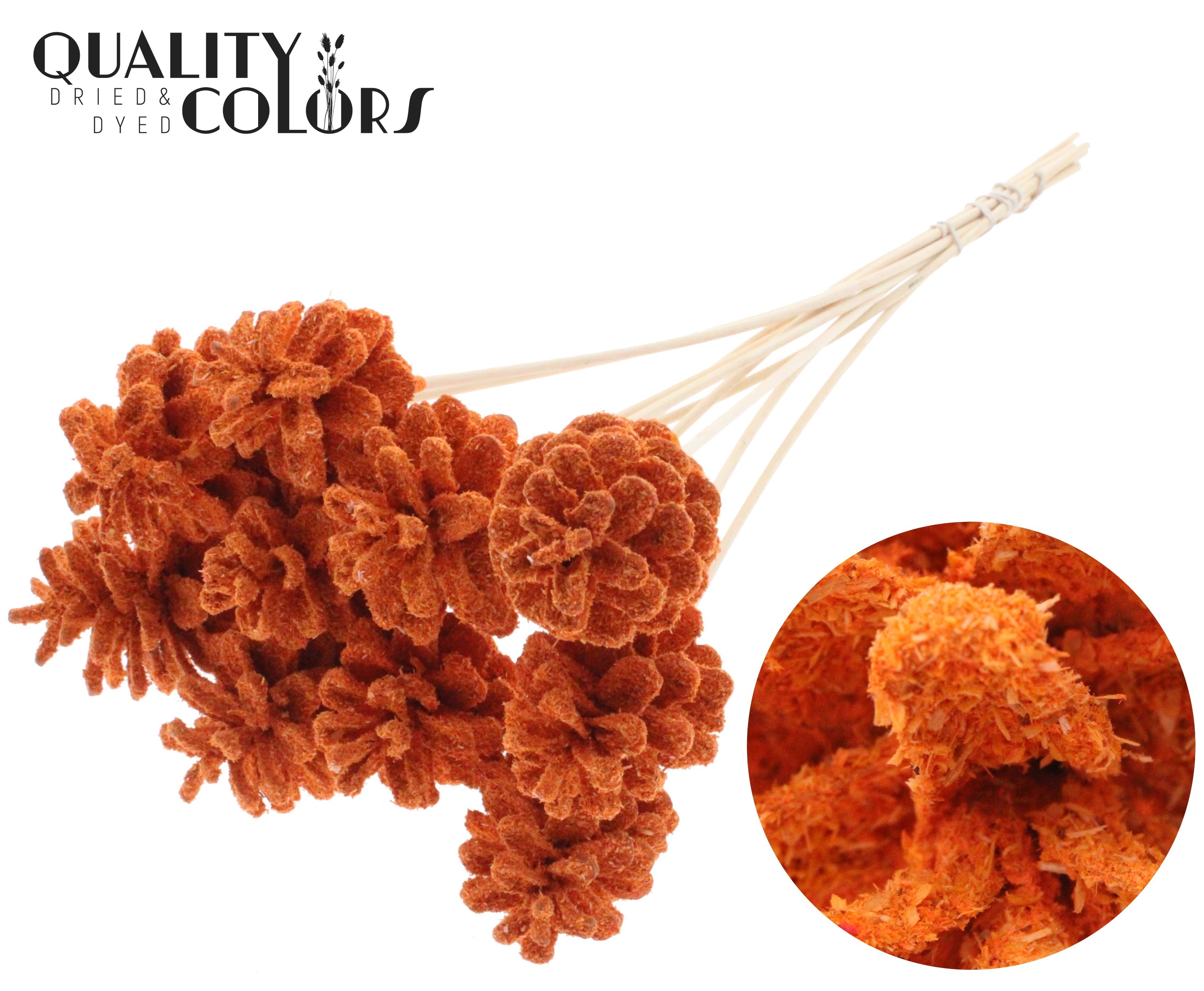 Pine Cone Sawdust Orange 50cm