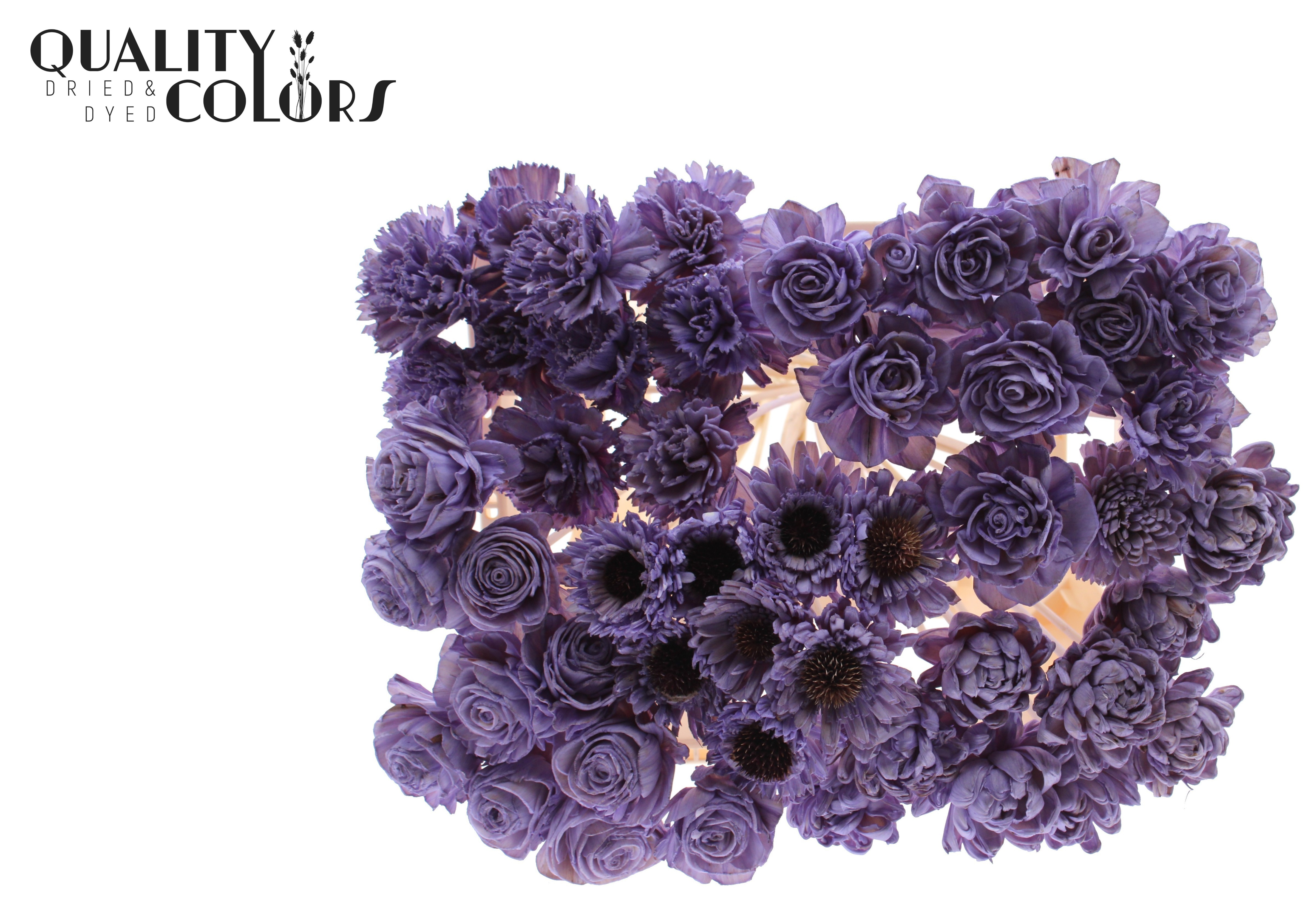 Shola Mix Milka 50cm