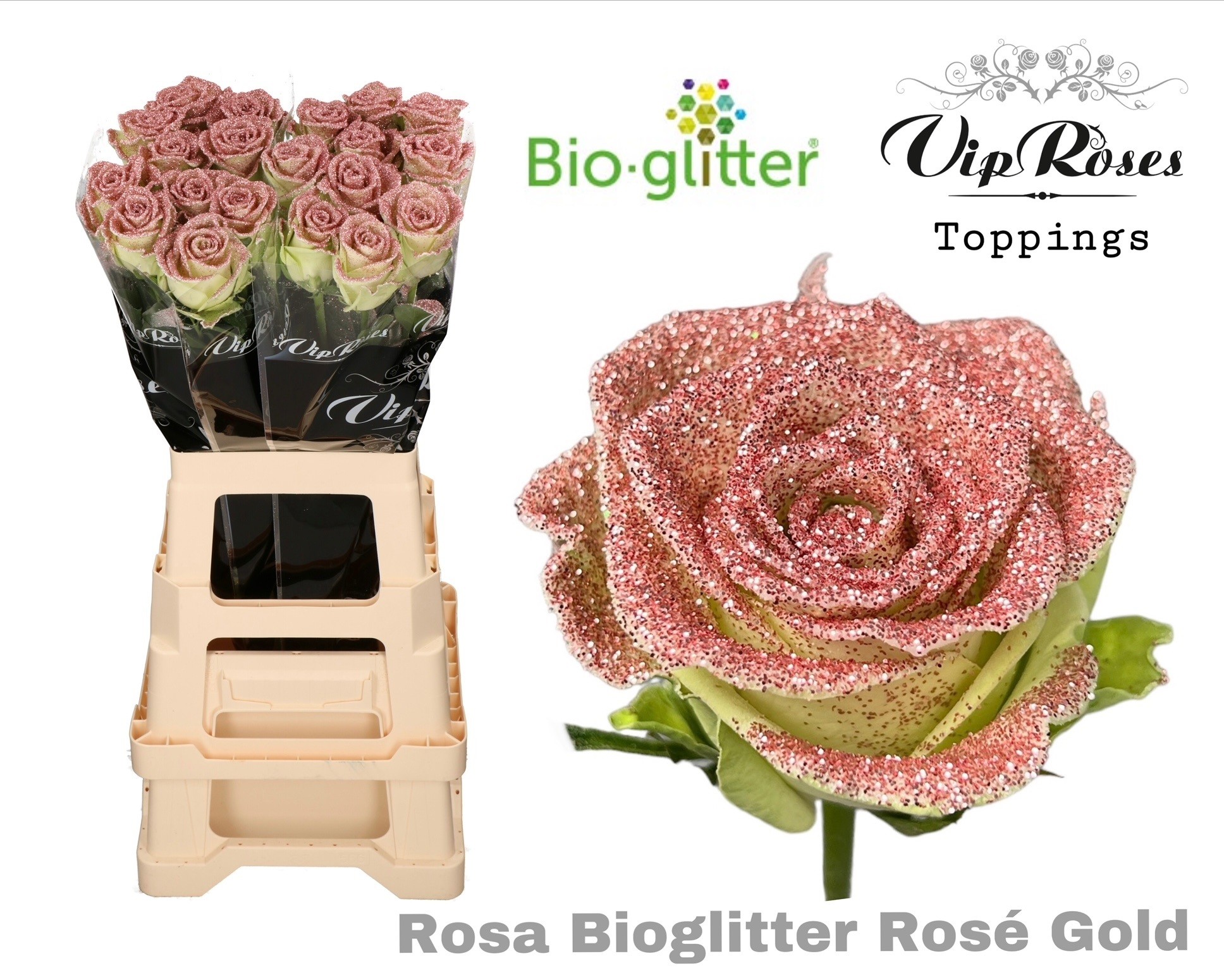 Rosa Painted Bio Glitter Rose Gold 70cm