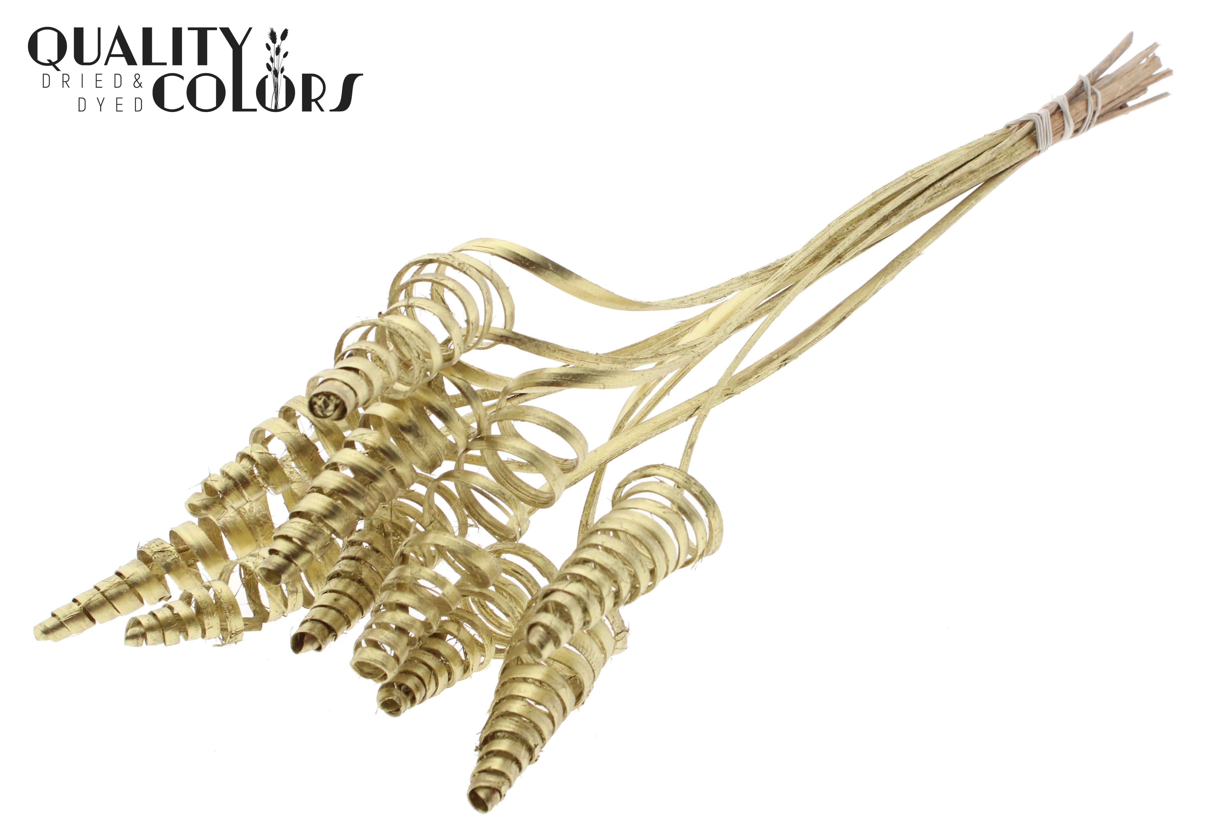 Cane Cone Gold 50cm