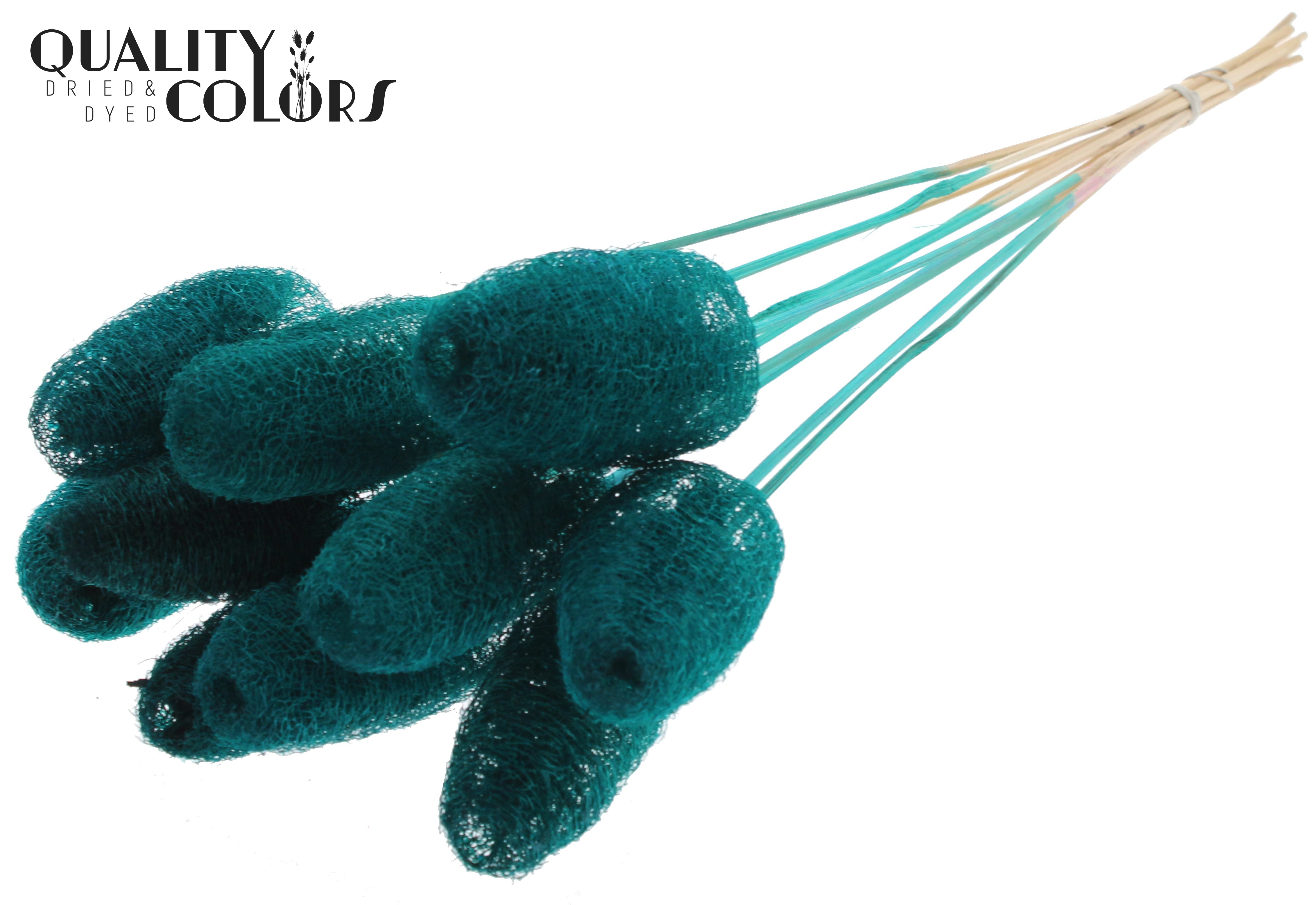 Luffa Mini Turquoise 50cm