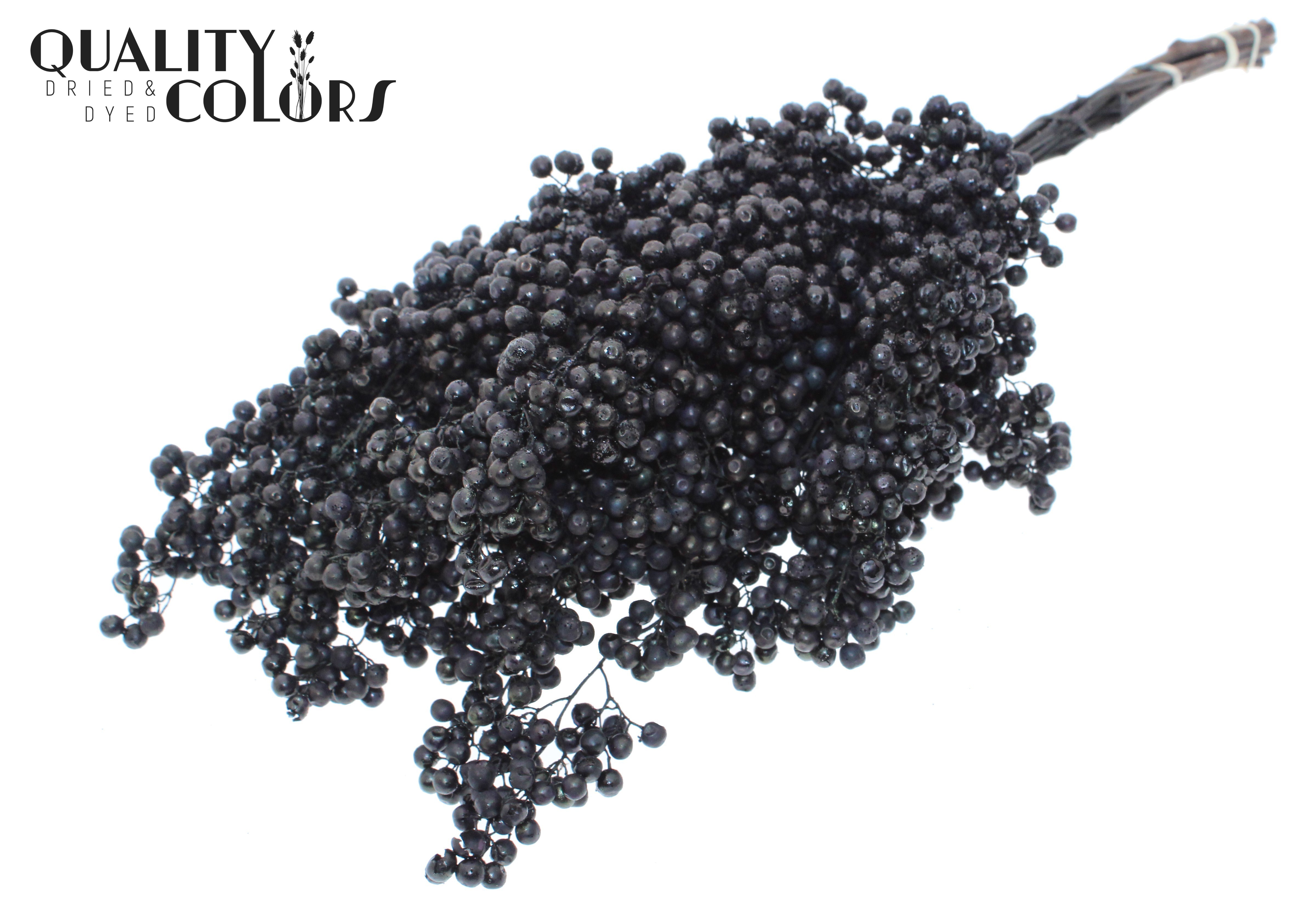 Schinus Mollis Black + Glitter Per Bunch