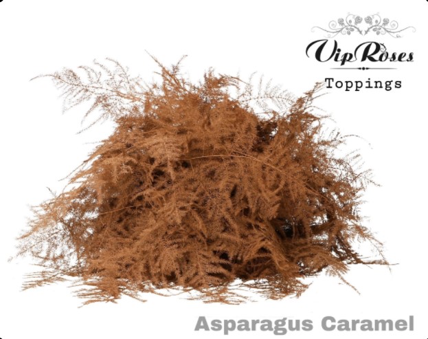 Asp Ov Getopt Lang Caramel