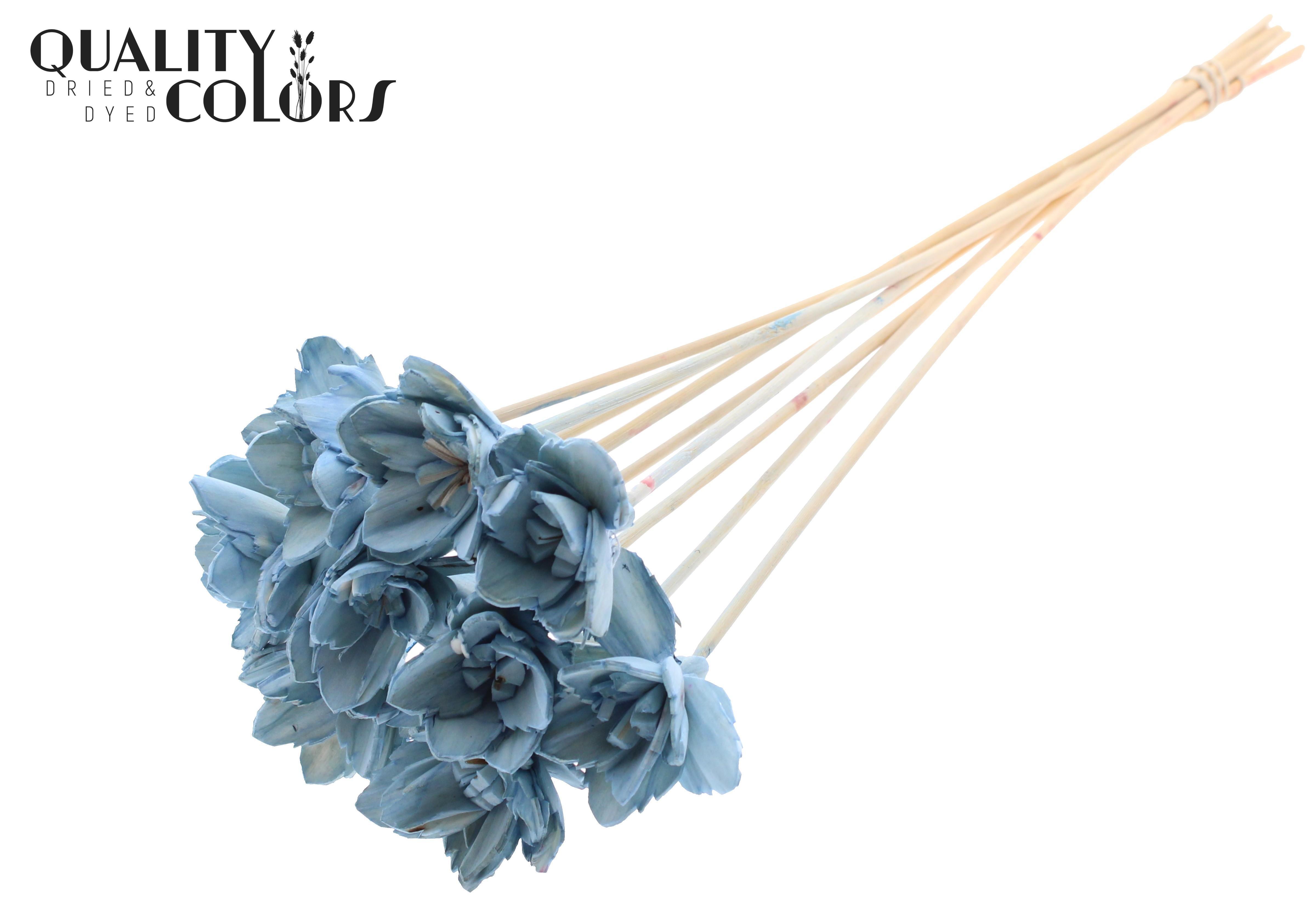 Shola Queen Light Blue 50cm