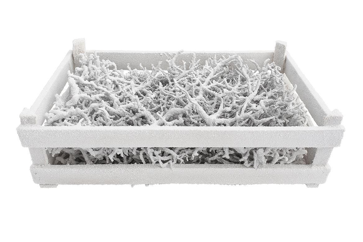 Bonsai Wood Snow P Crate