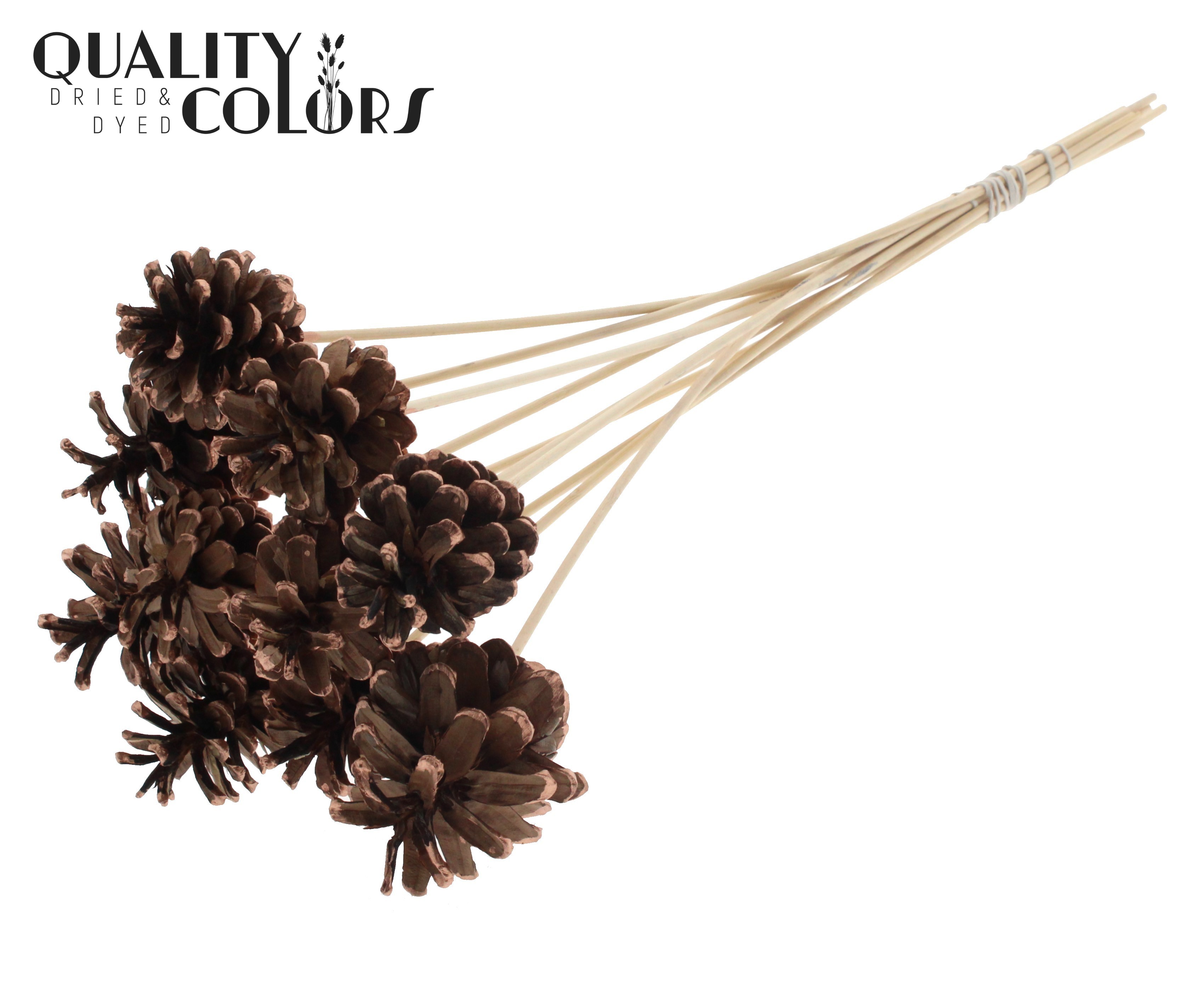 Pine Cone Copper Tipped 50cm