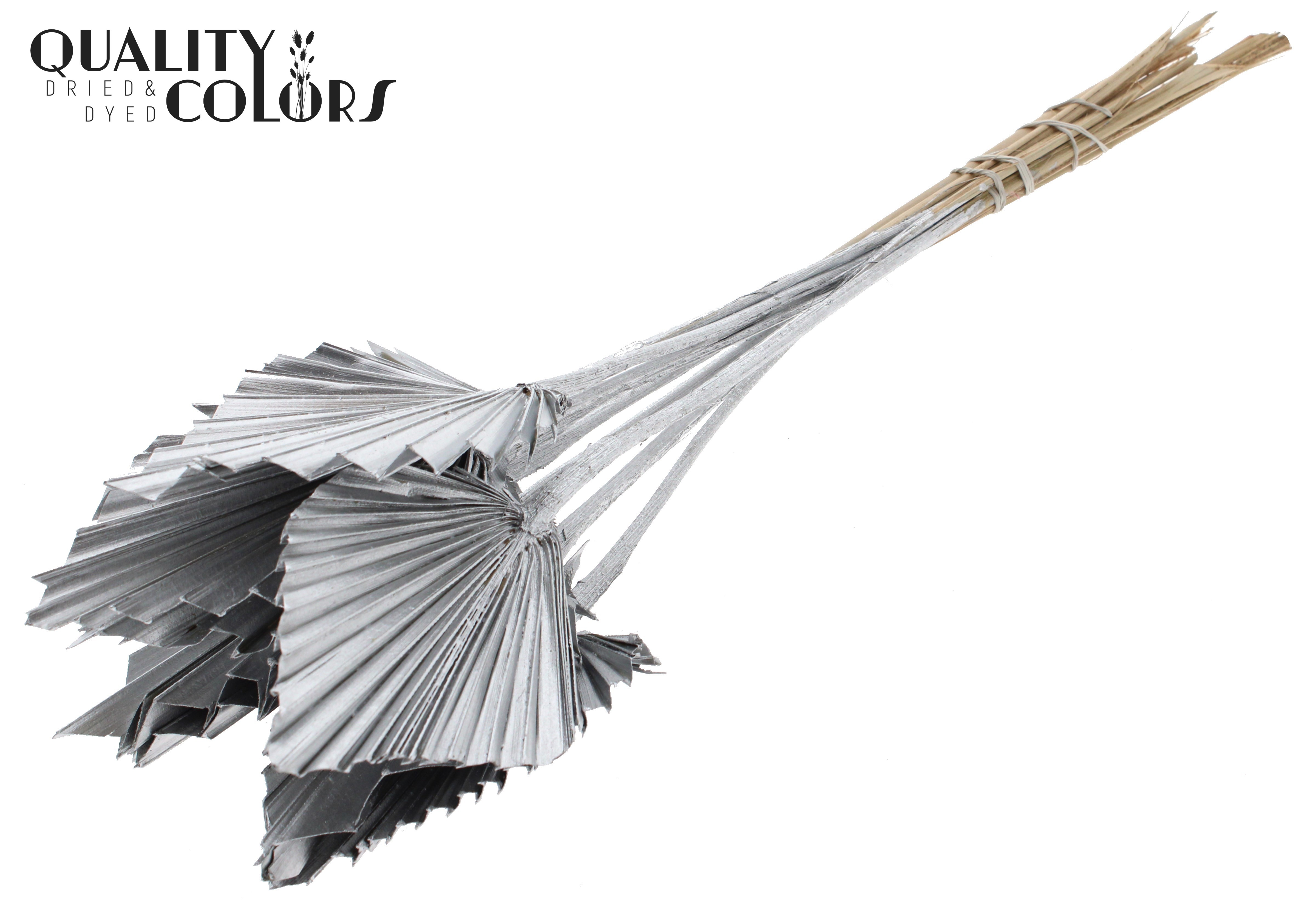 Palm Sun Silver 50cm