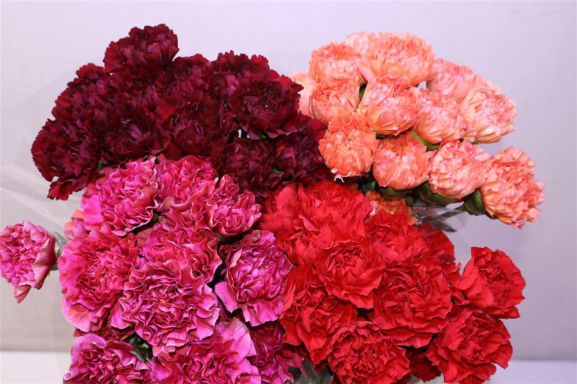 Di St Herfst Mix