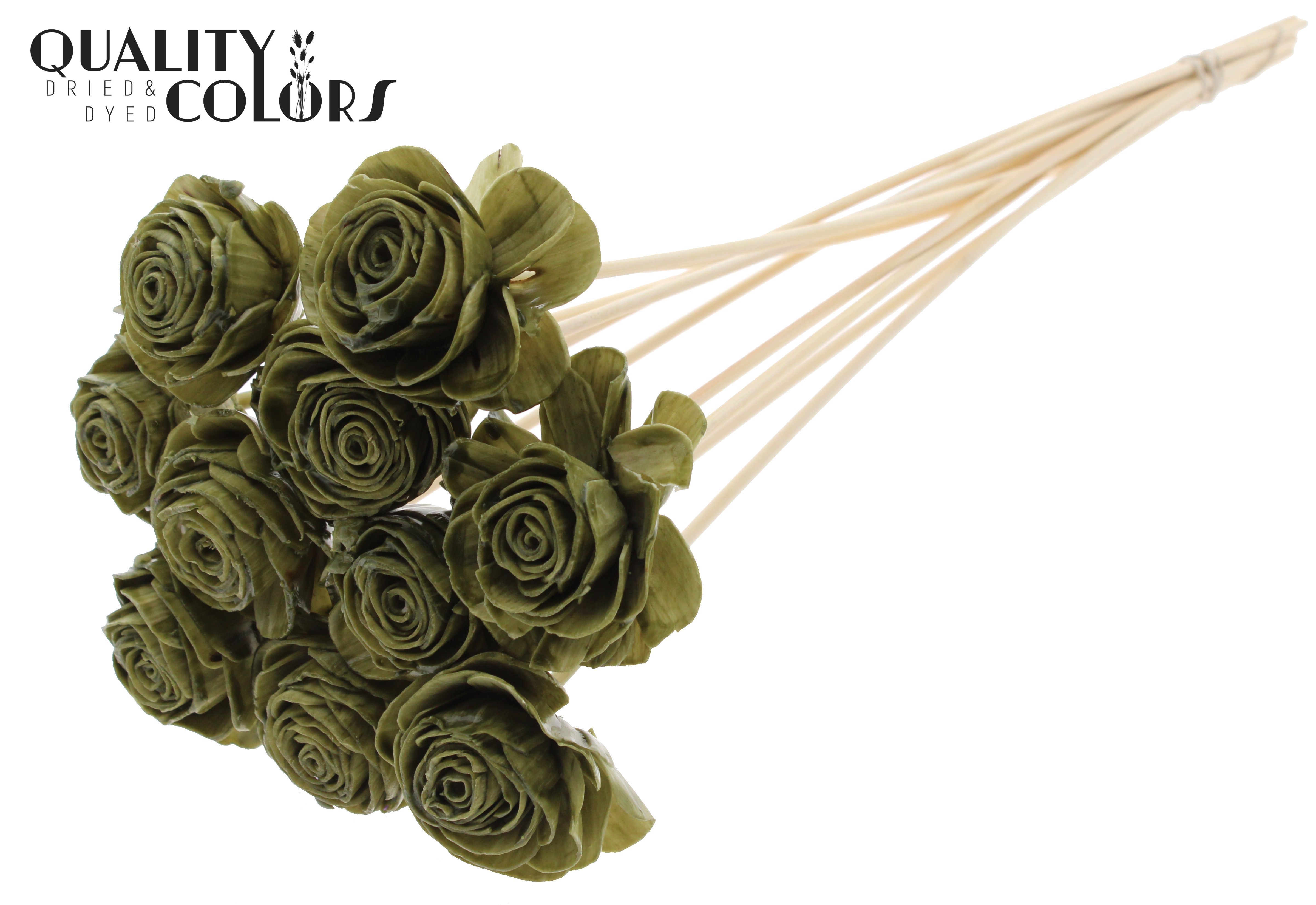 Shola Beauty Rose Wax Olive 50cm