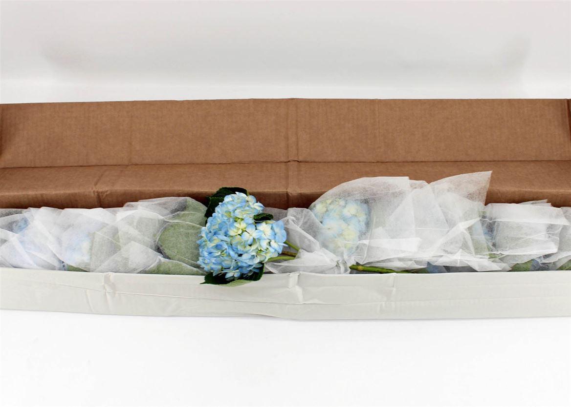 Hydr M Therese Blue In Box X12