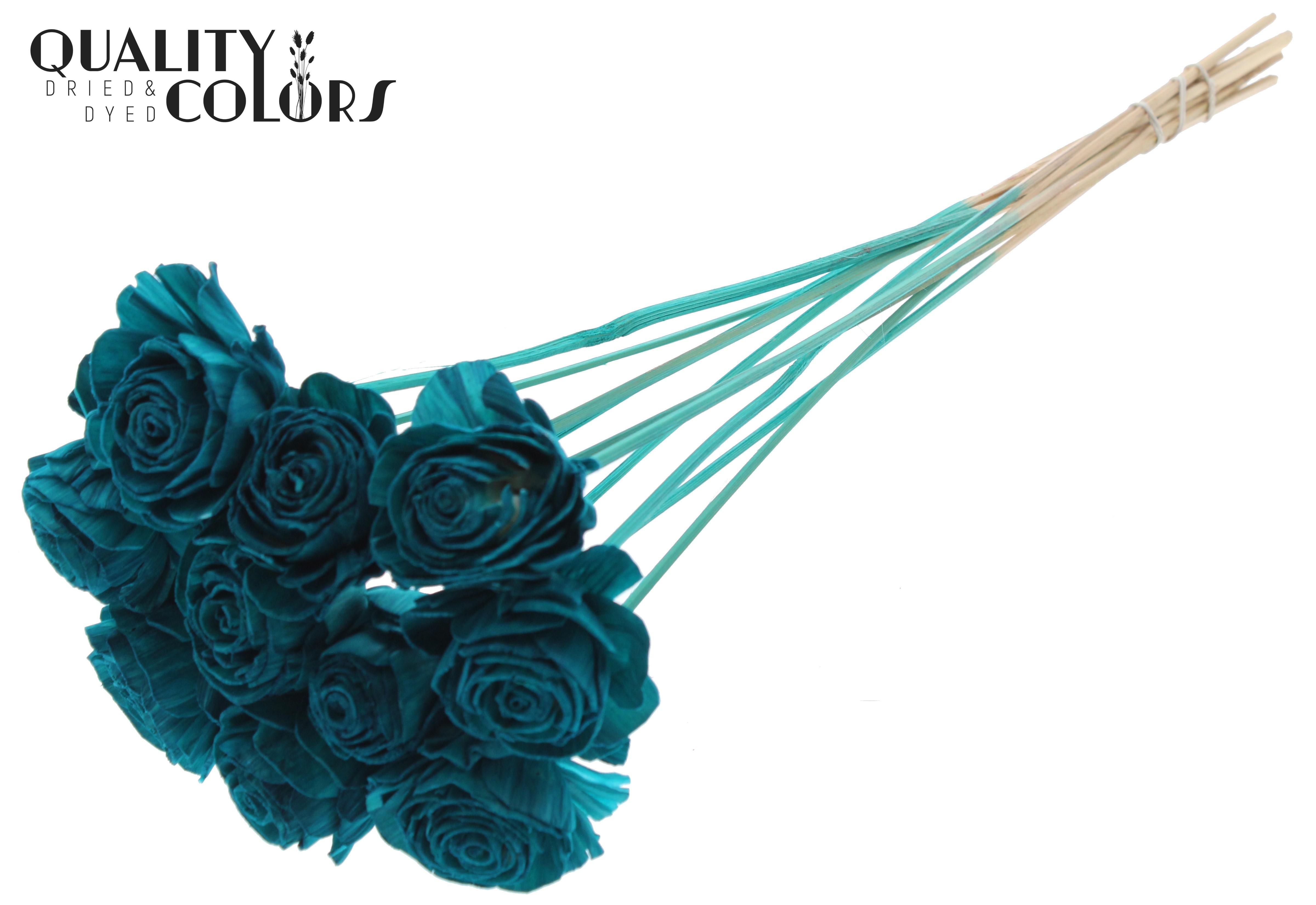 Shola Beauty Rose Turquoise 50cm