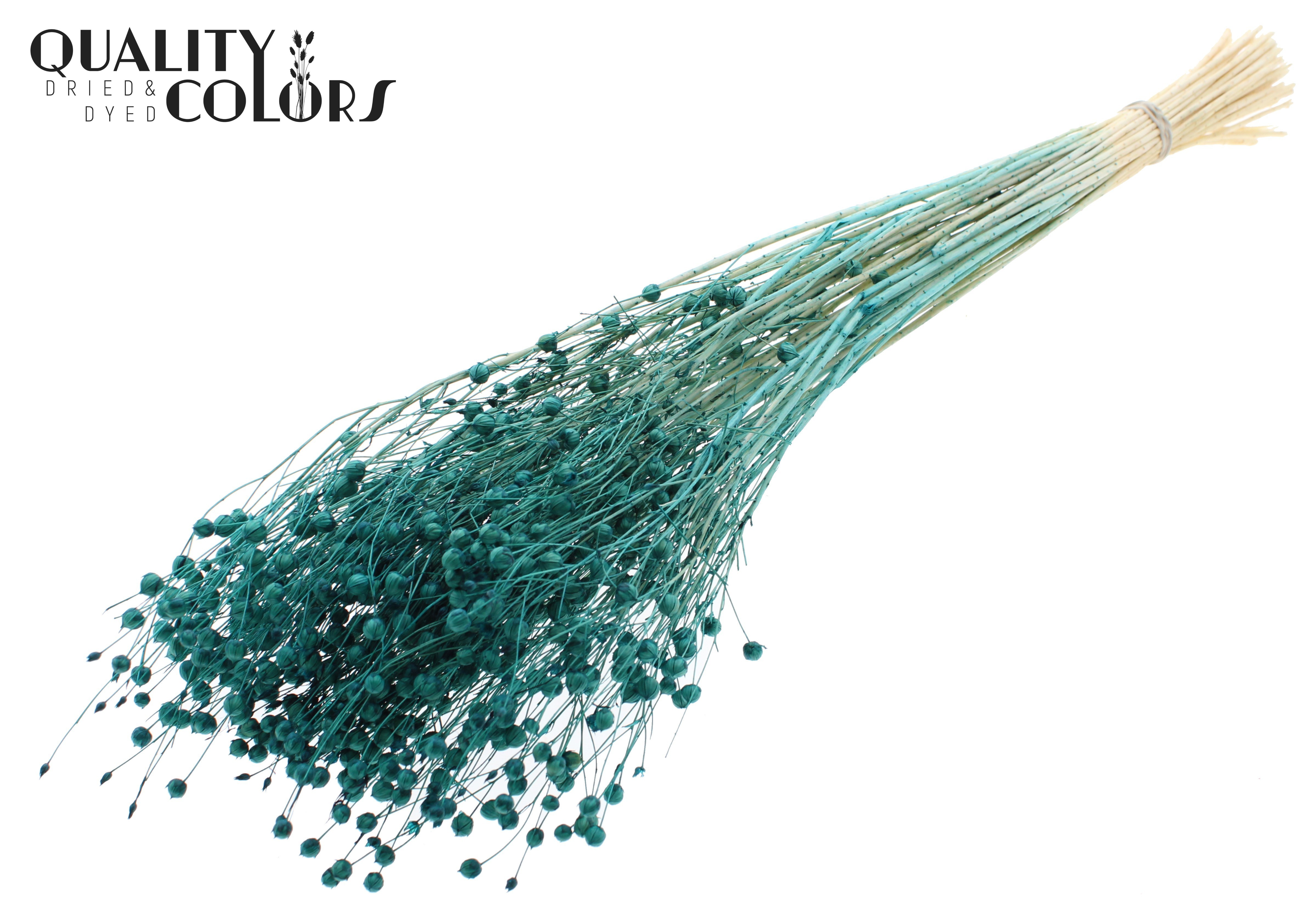 Lino Flax Intense Turquoise Per Bunch 70cm