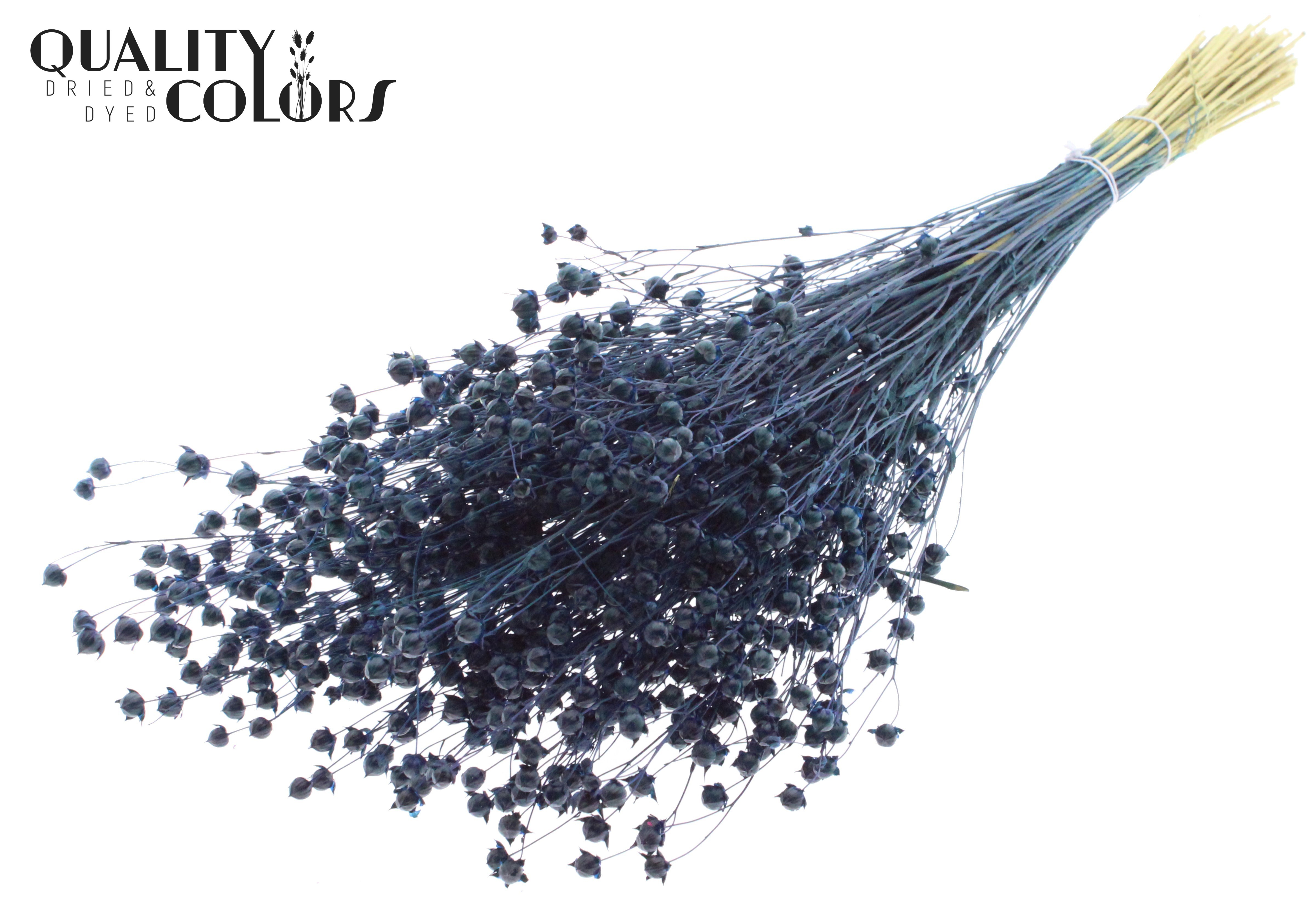 Lino Flax Dark Blue Per Bunch 50cm