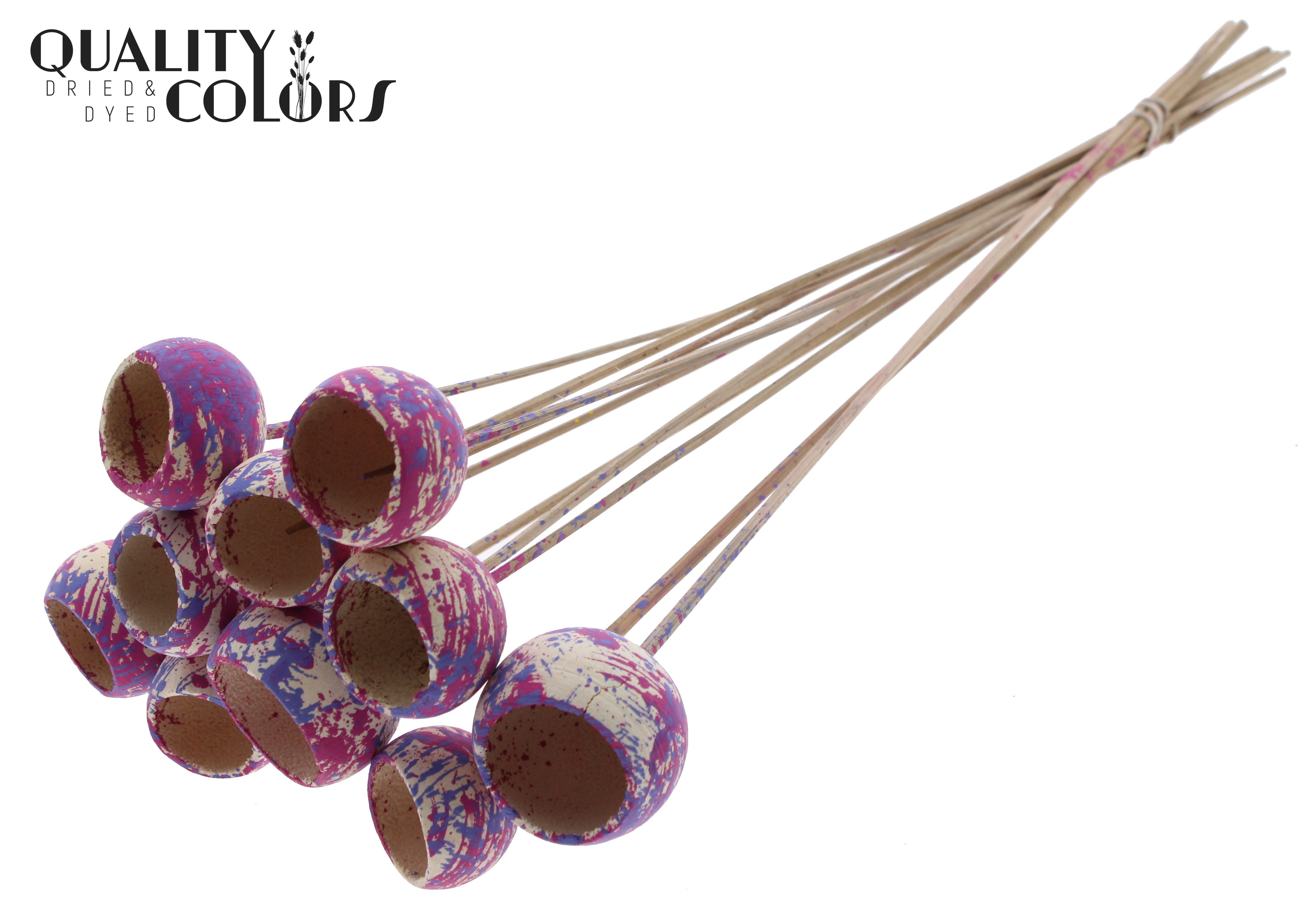 Bell Cup Multicolour Cerise Milka 50cm