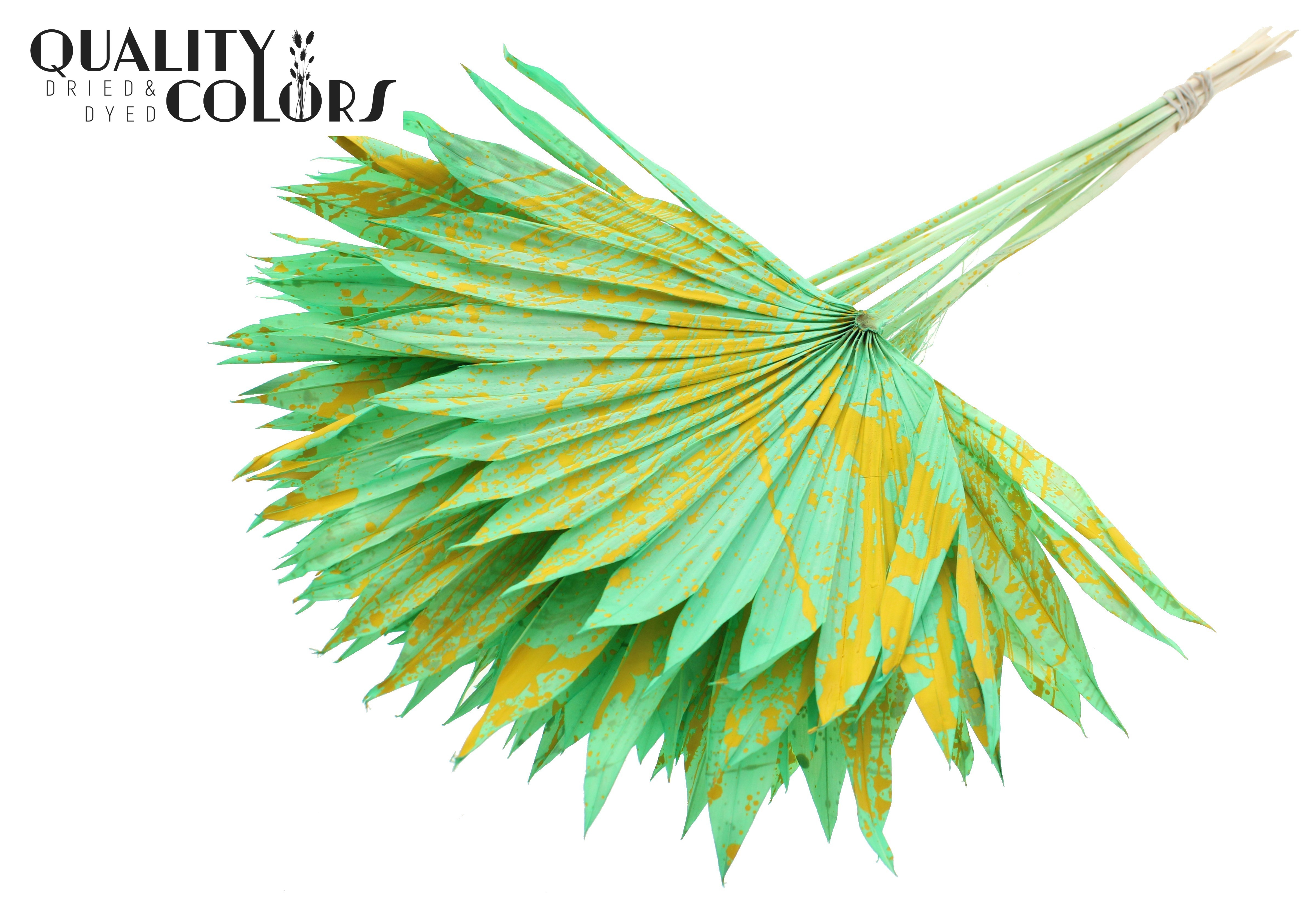 Palm Sun Splashed Mint Yellow 50cm